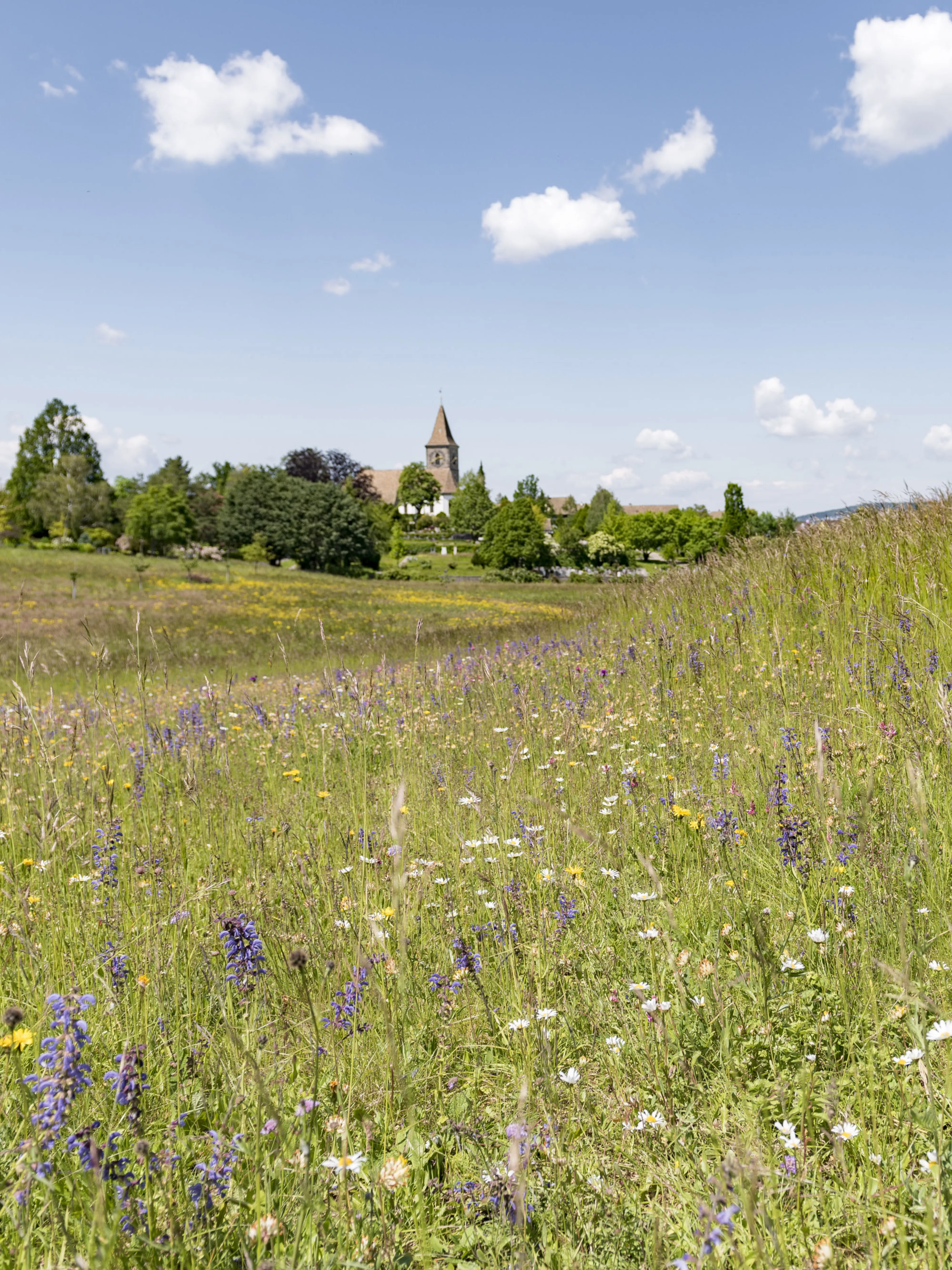 0006 20190531 2897 XXX