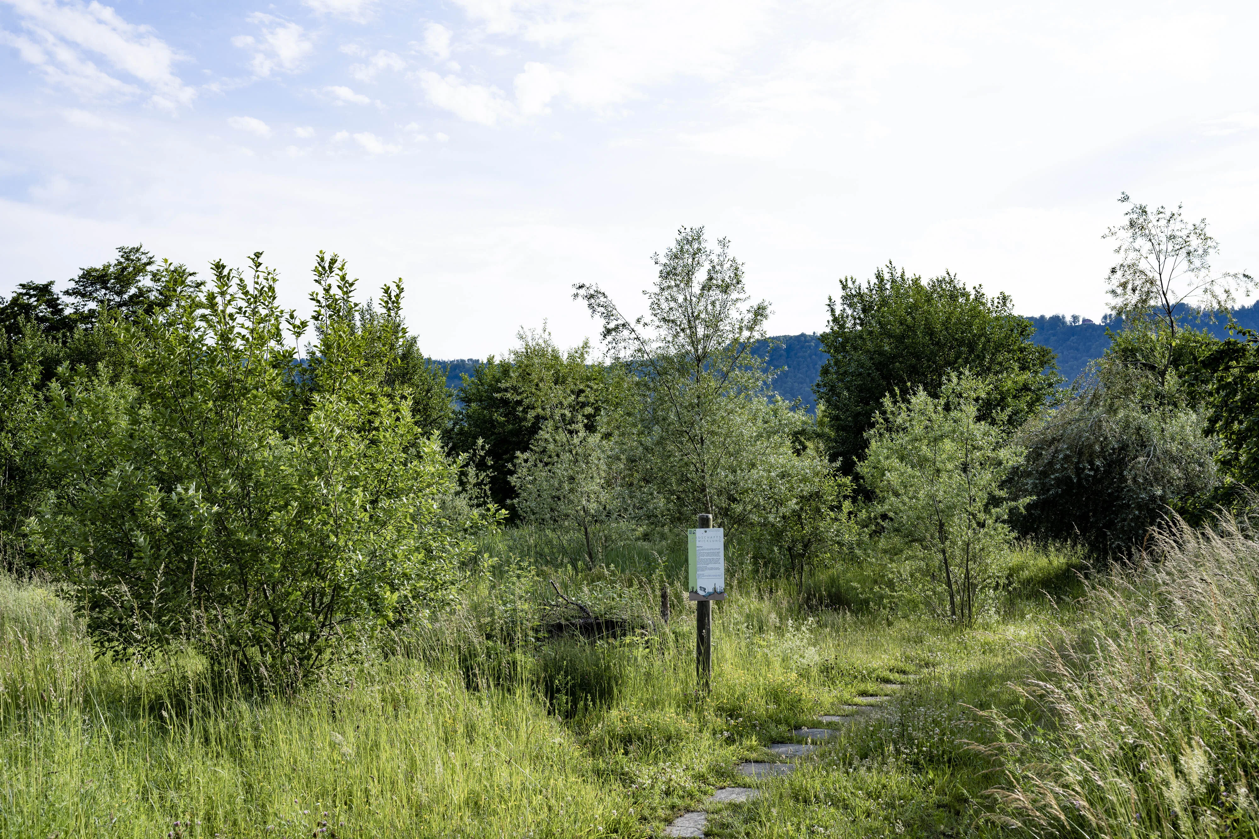 0006 Kilchberg 20210612 1931