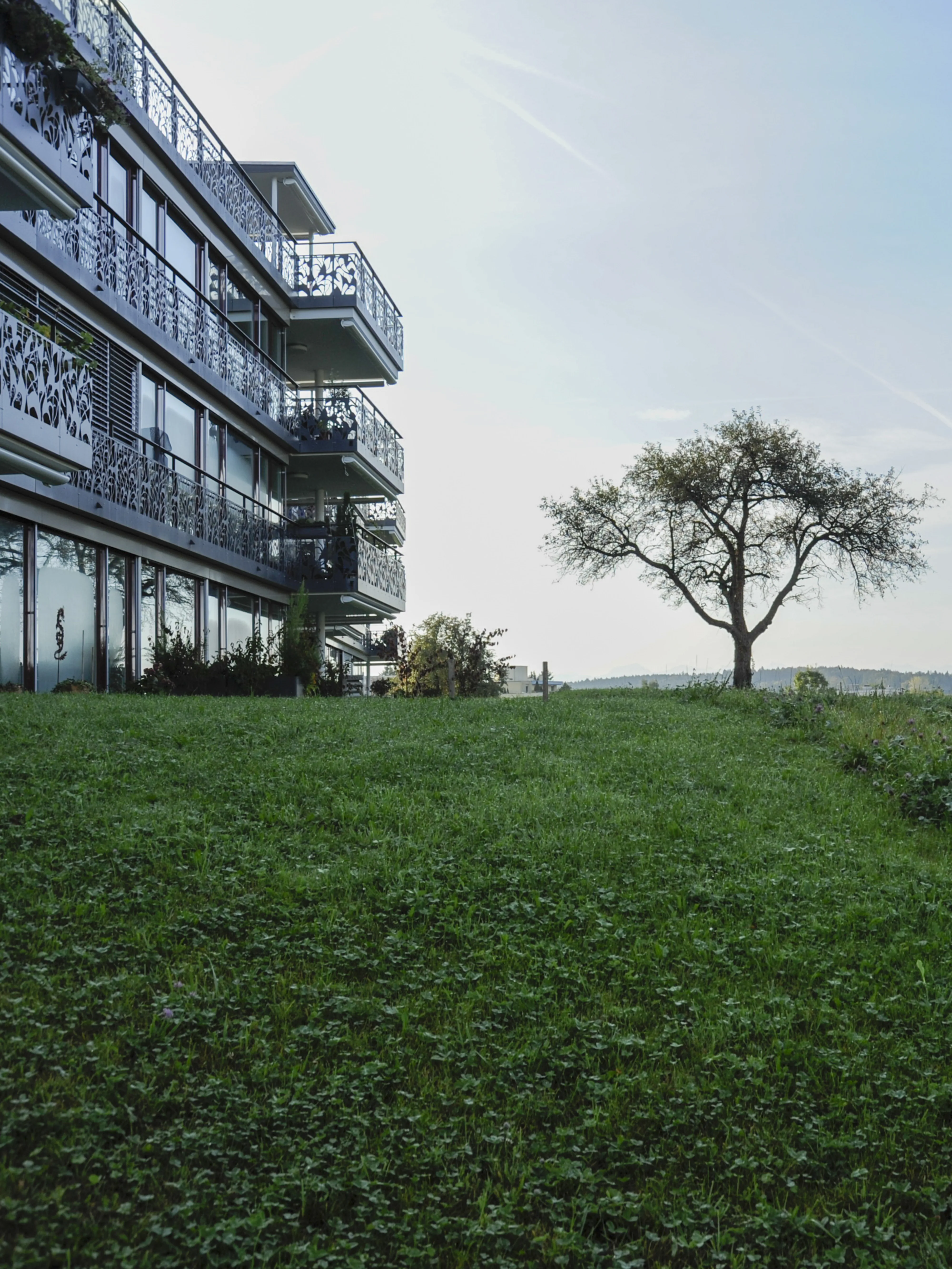 0156 2012105 5115 XXX