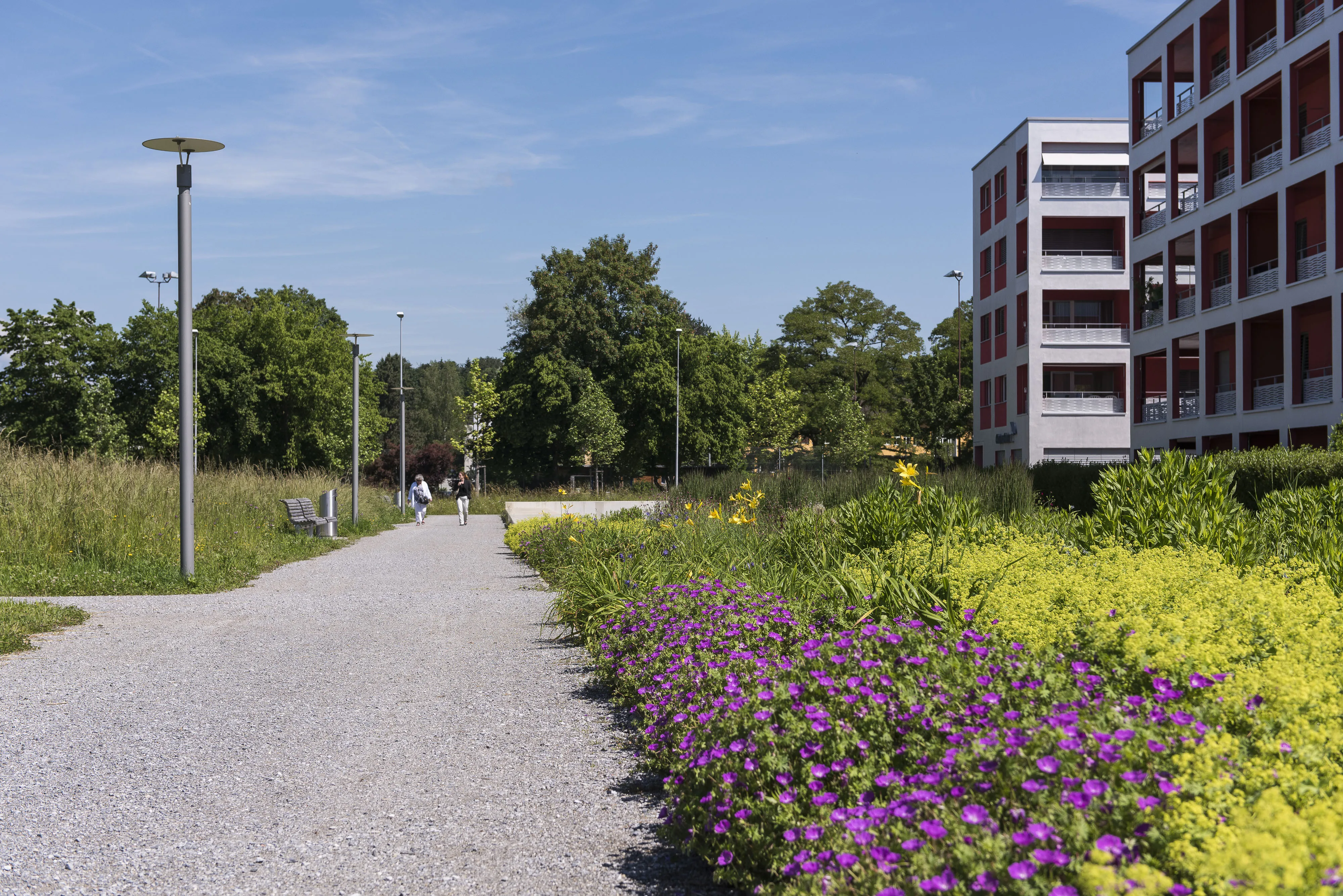 0198 planikum 201606 2047