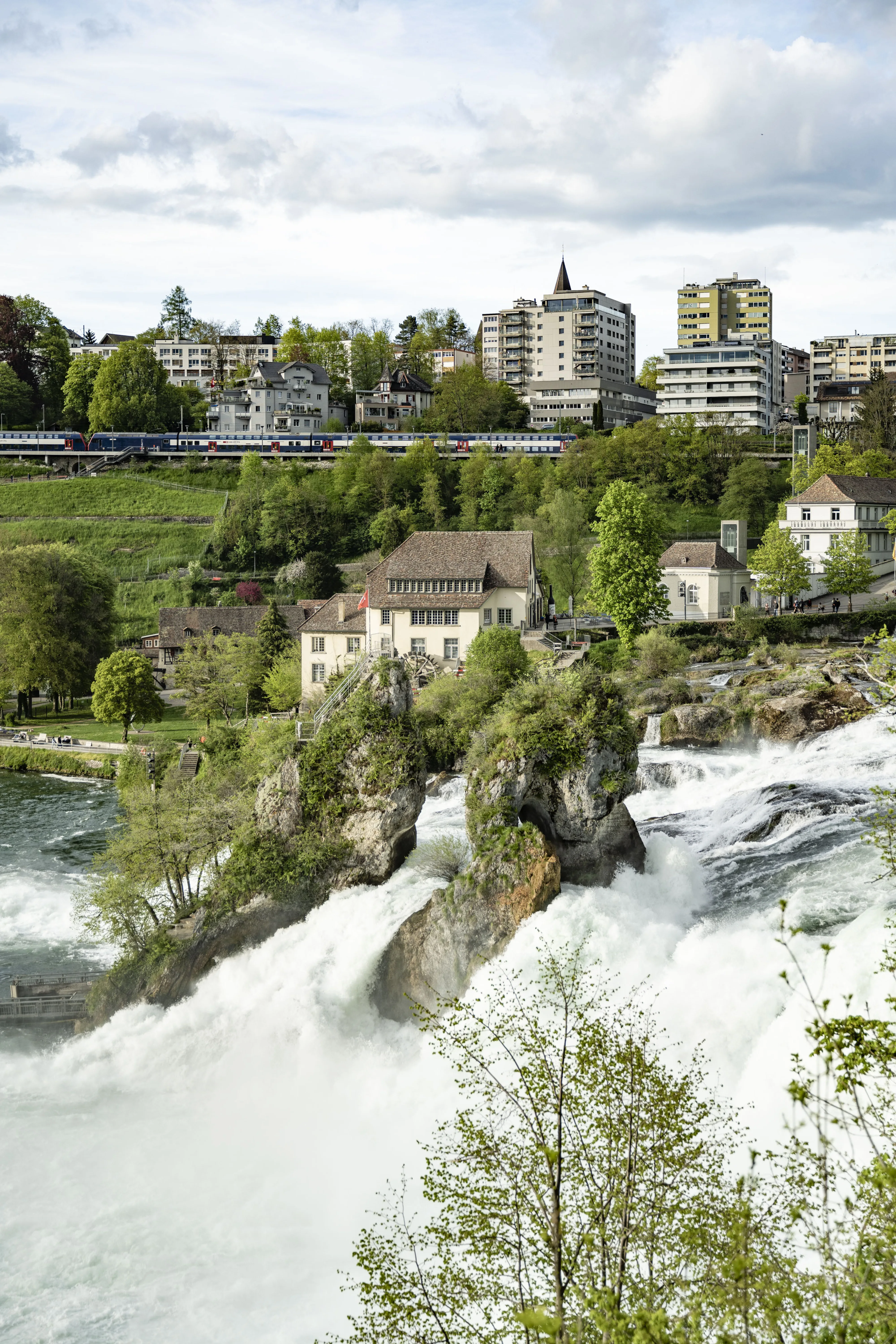 0259 20230429 6563 XXX