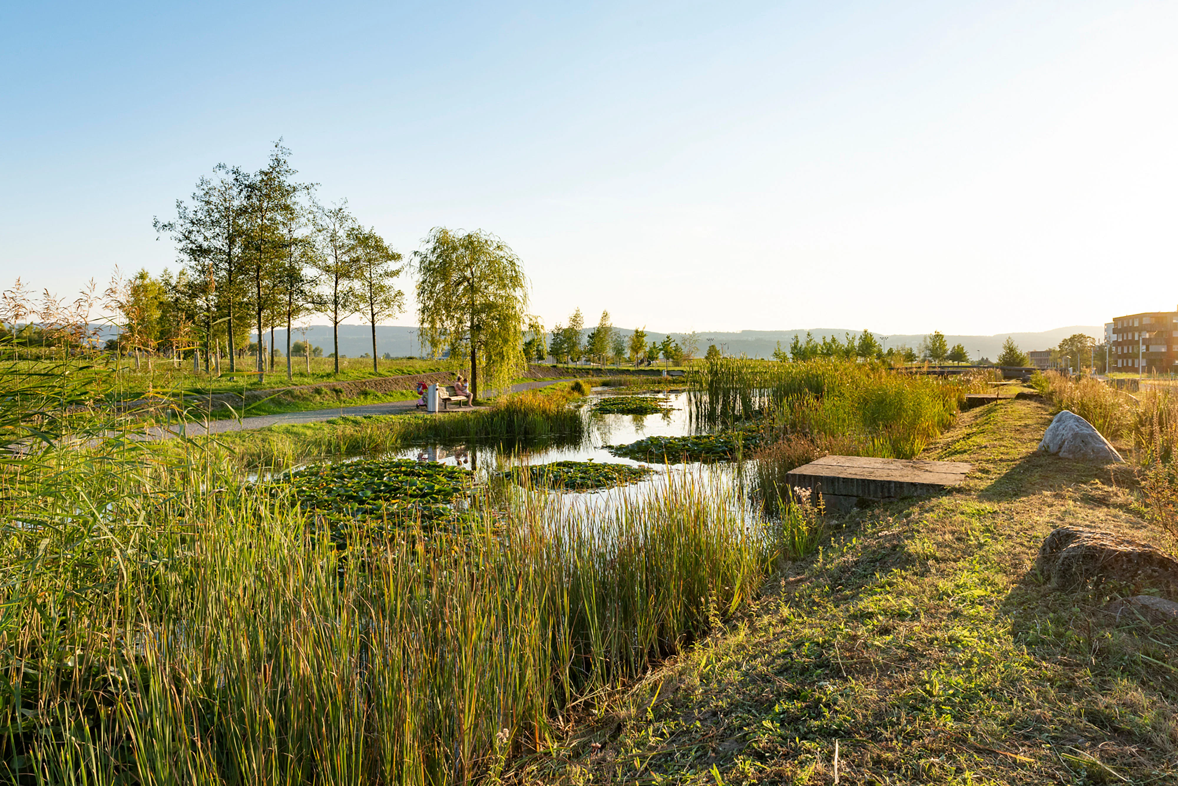 0321 Unterhalt Griespark 1200