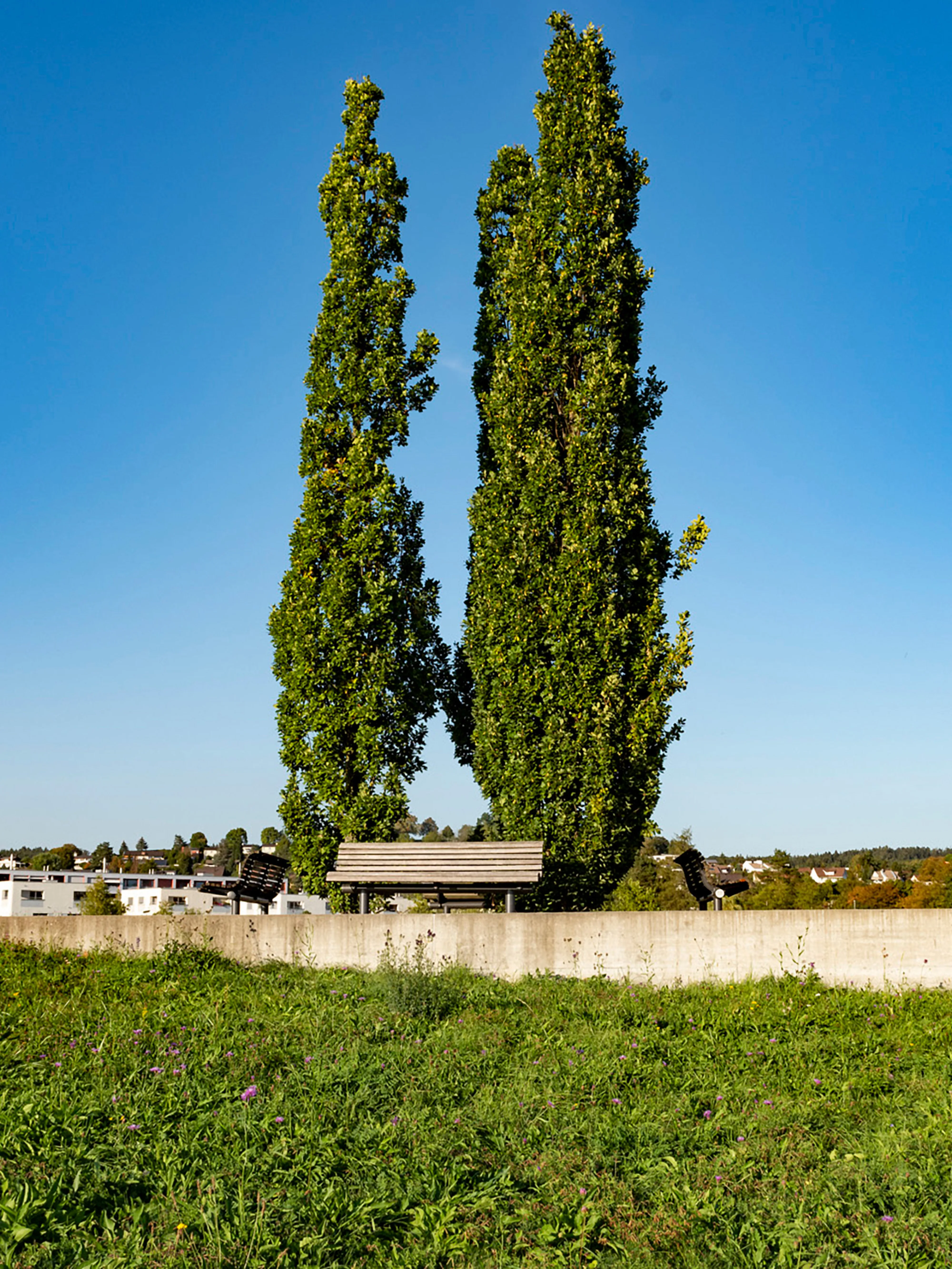 0321 Unterhalt Griespark Foto4