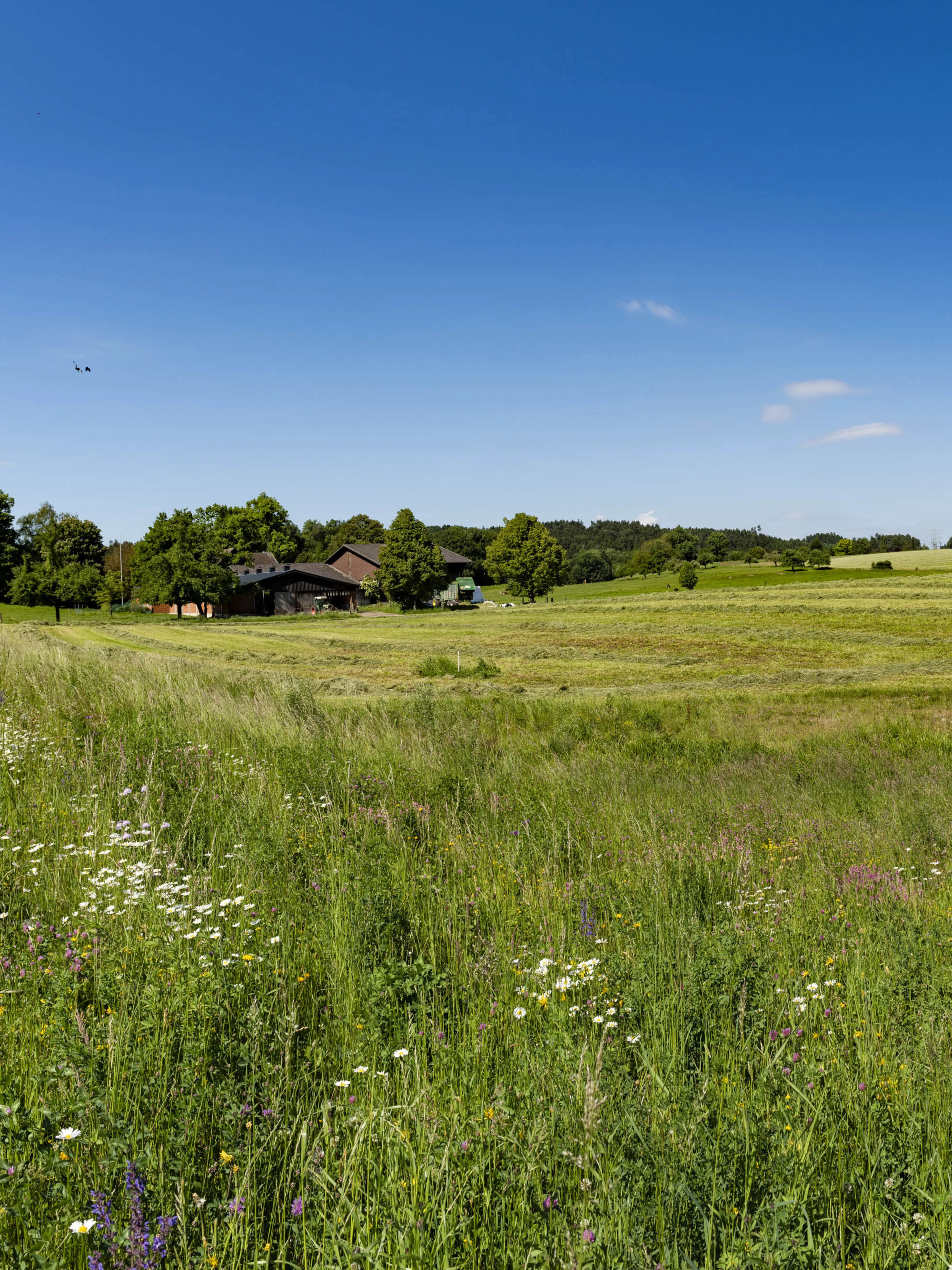 0395 DSC6495 Pano XXX