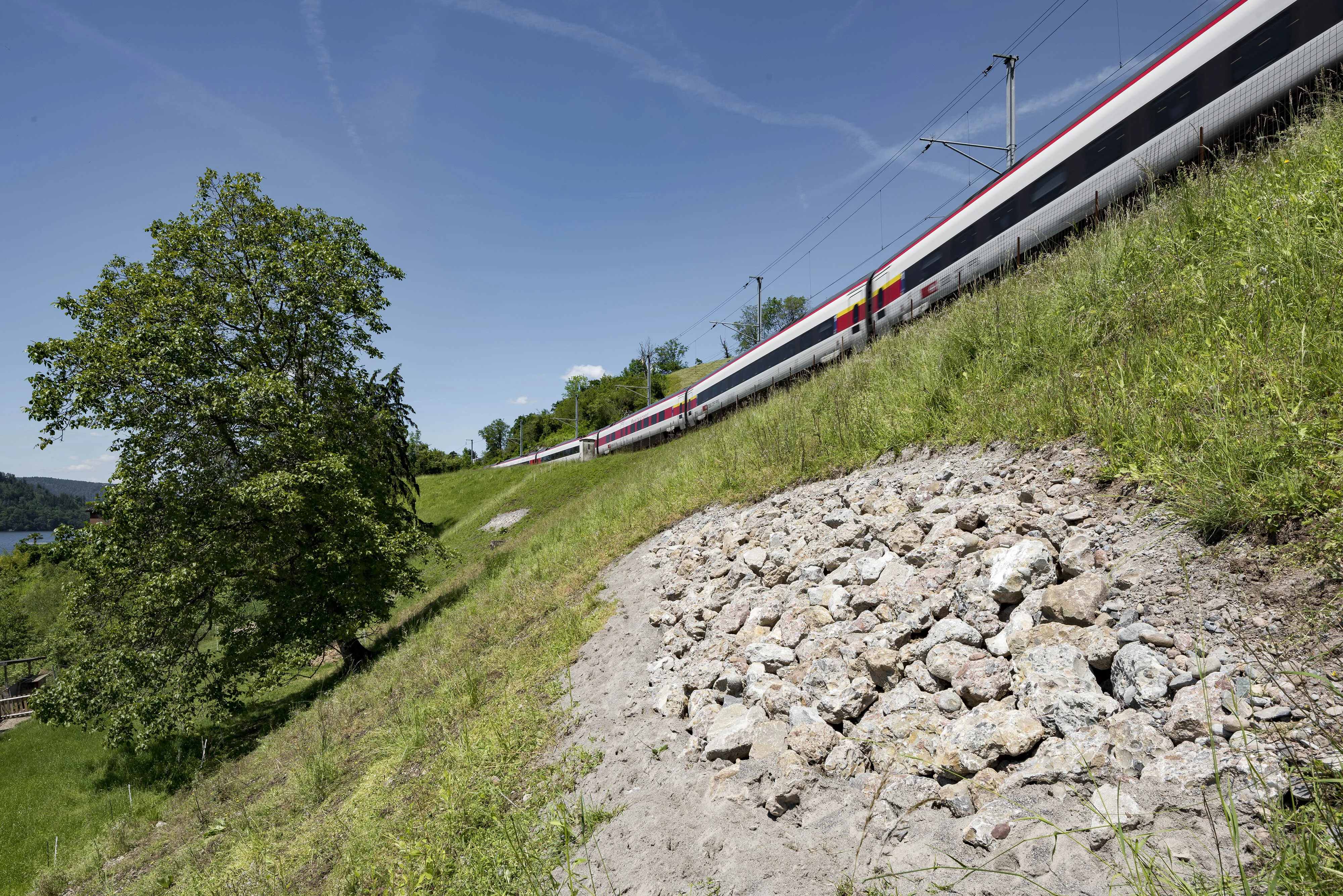 0406 20190531 DSC2919