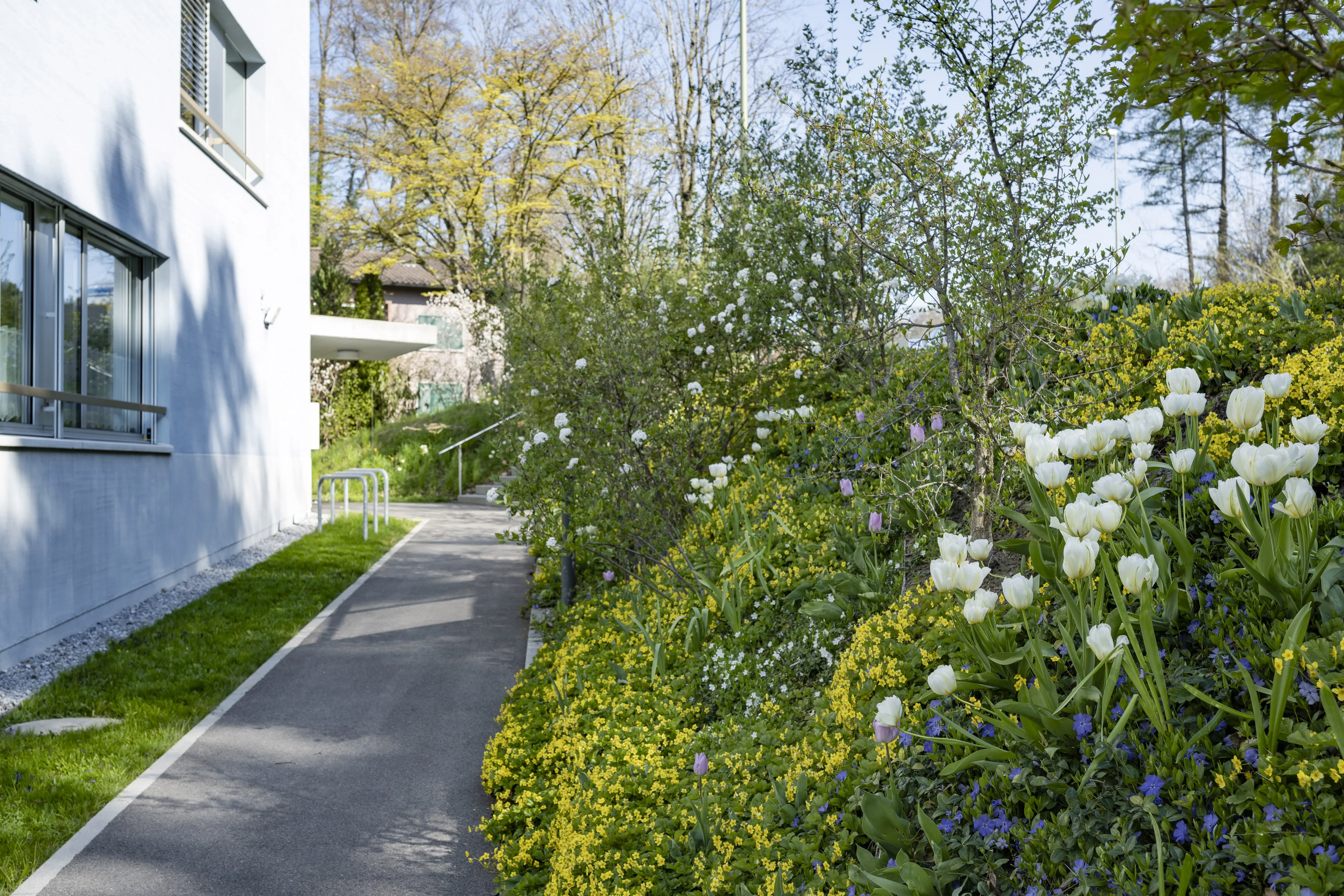 0504 gattikon 20210424 1161