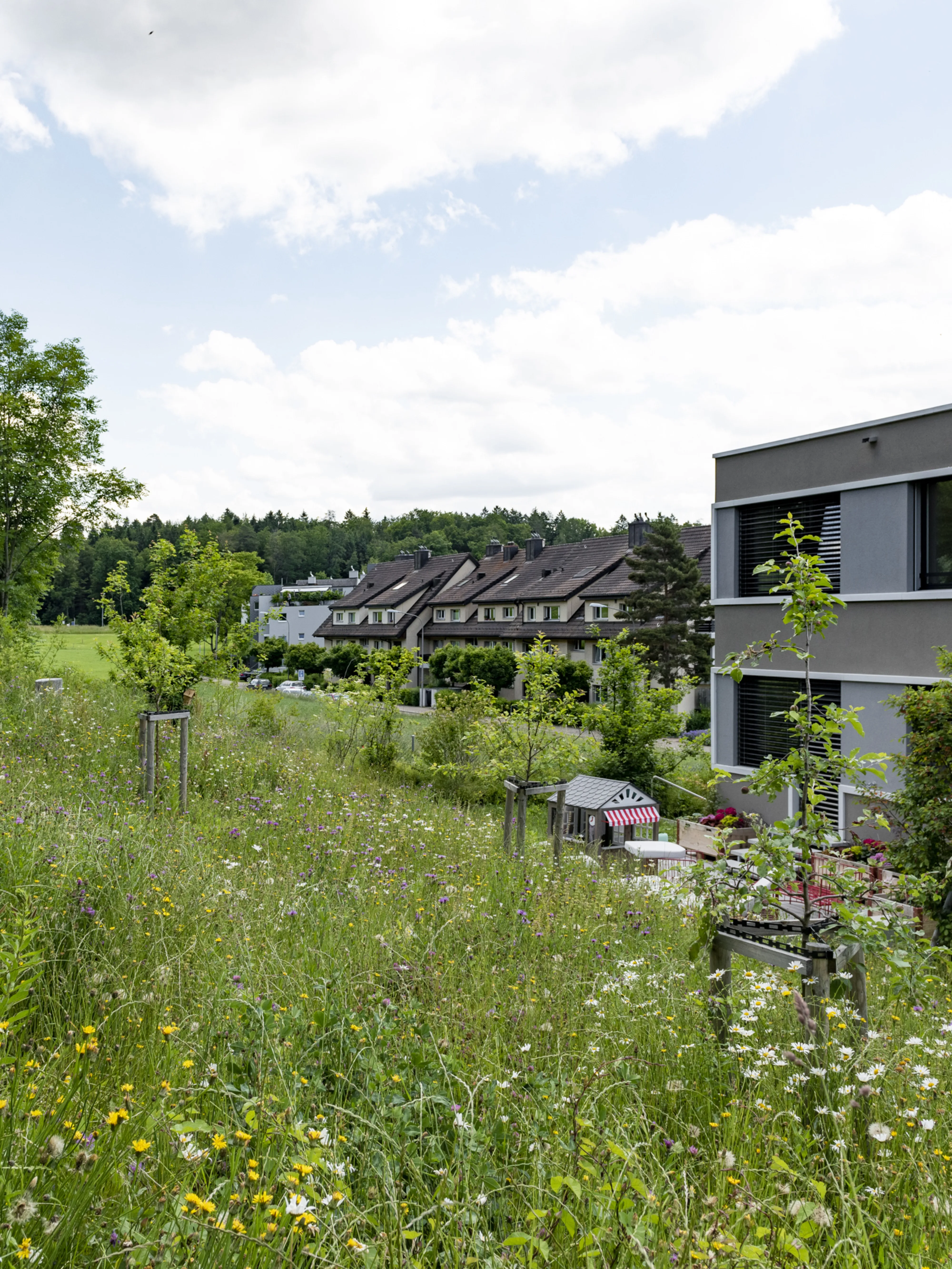 0533 Imoberen Boden 20190613 14 XXX