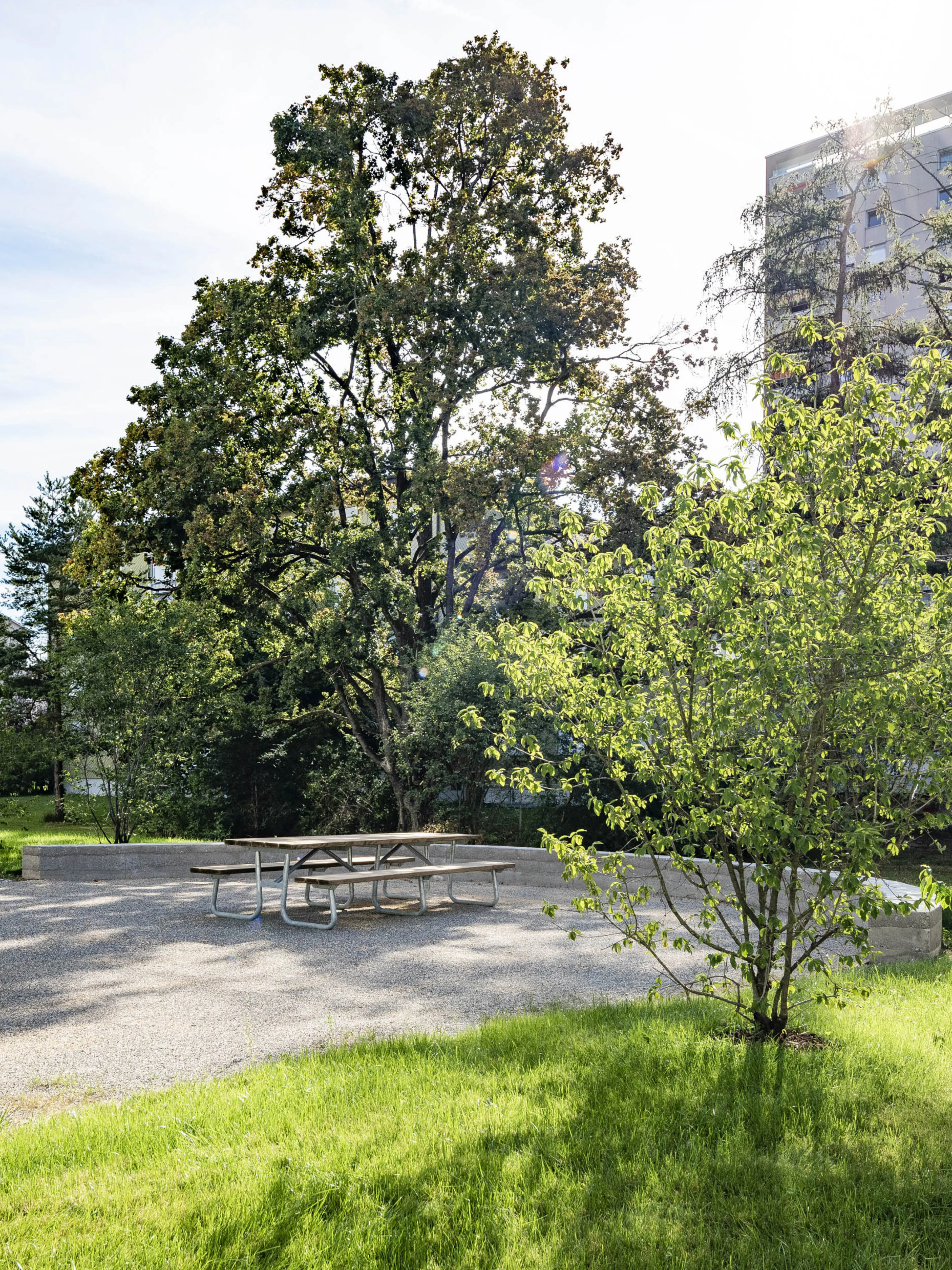 0548 20200713 DSC6870 XXX