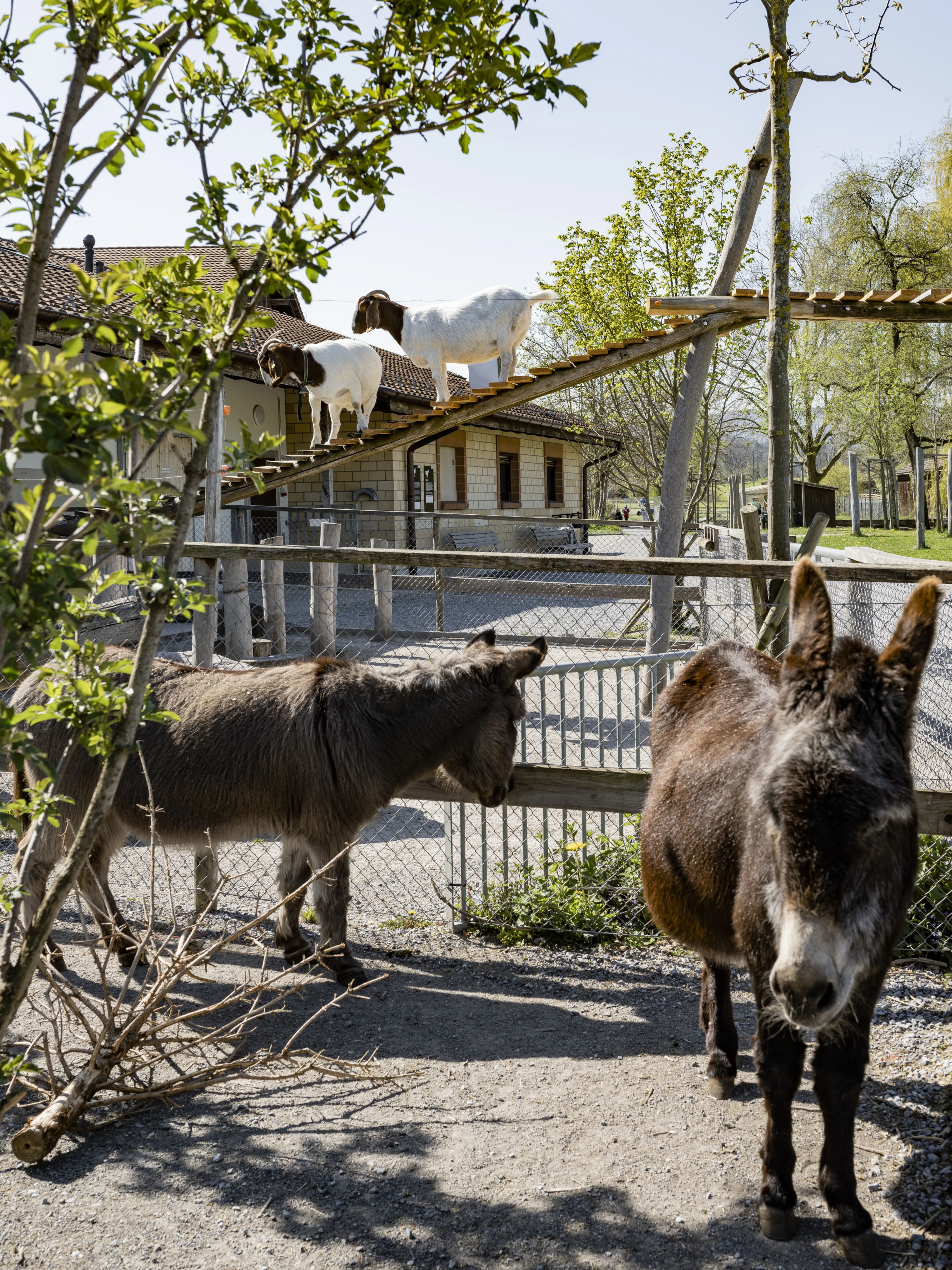 0586 20210424 1218 XXX