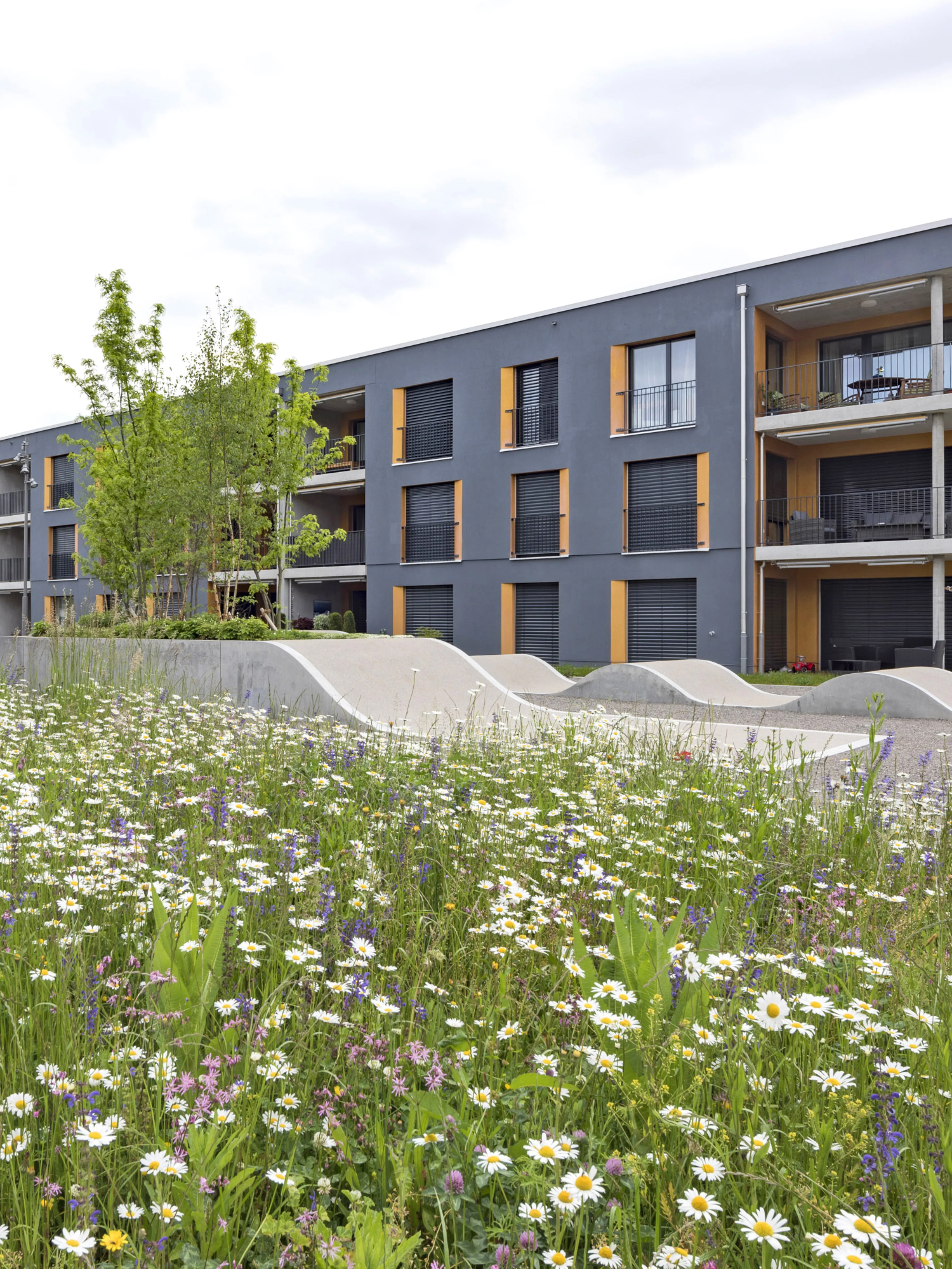 0592 Silbergrueb XXX