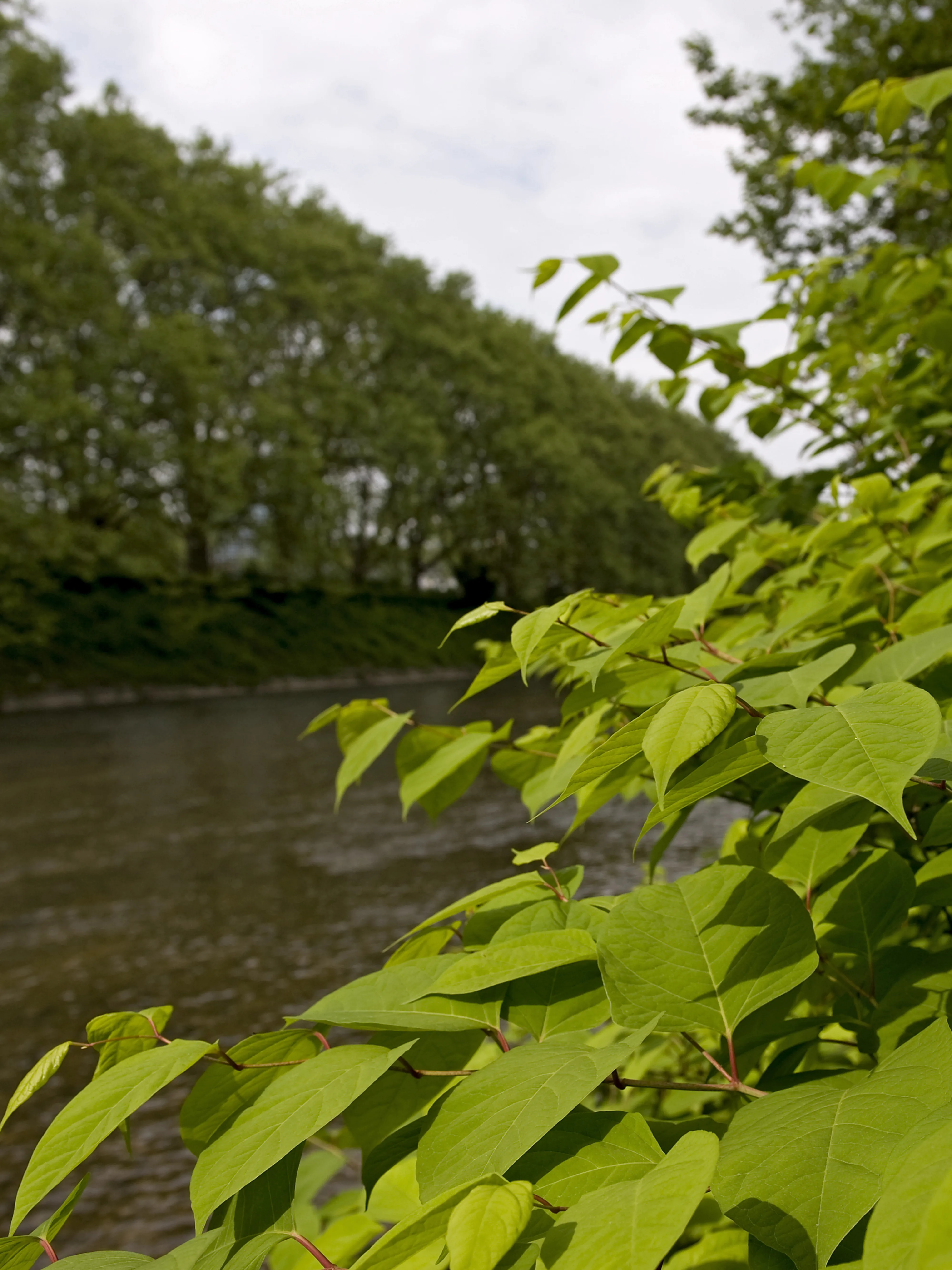 0638 20150523 9986 XXX