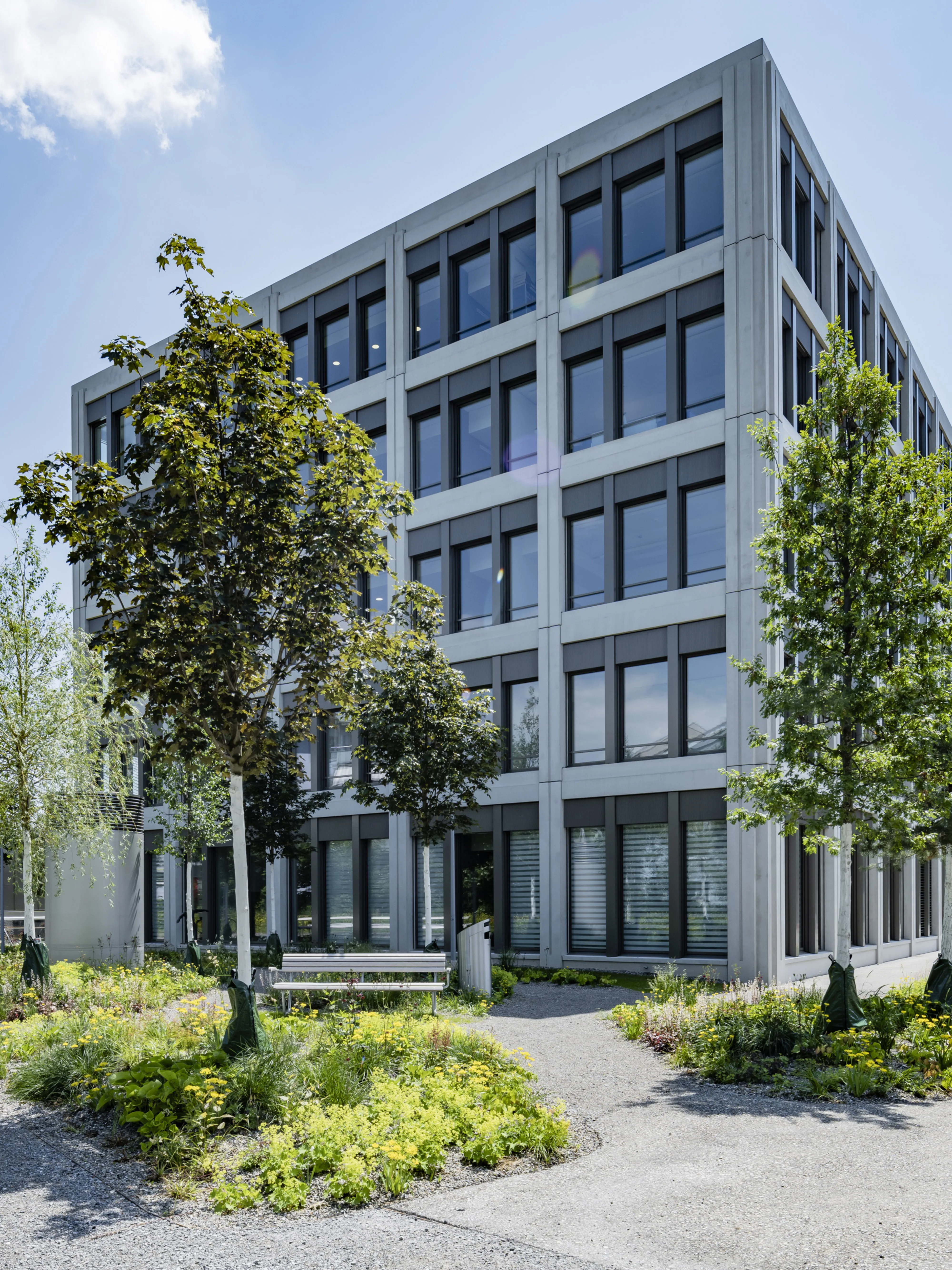 0666 20210611 1893 XXX