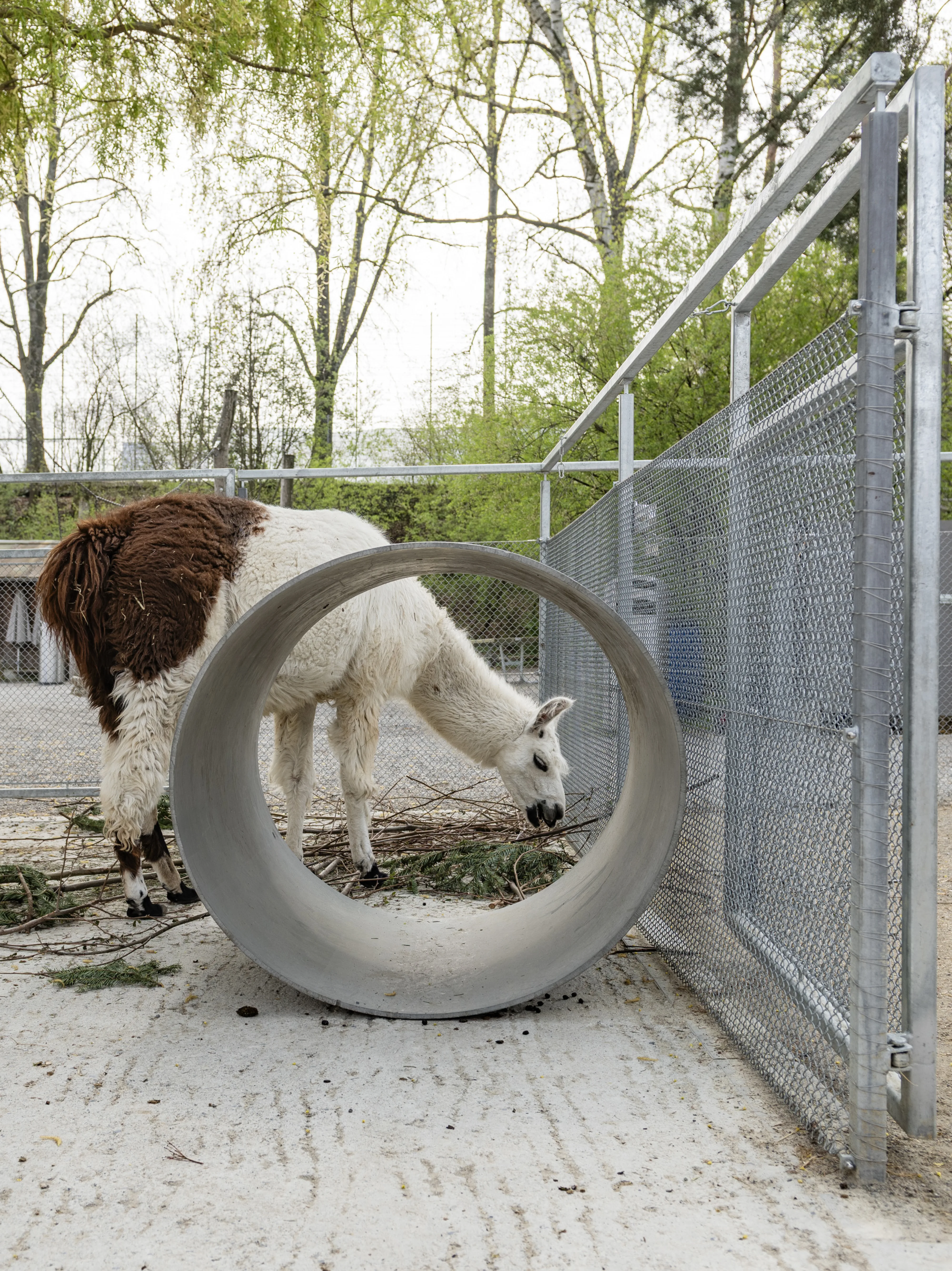 0676 20190412 2290 XXX