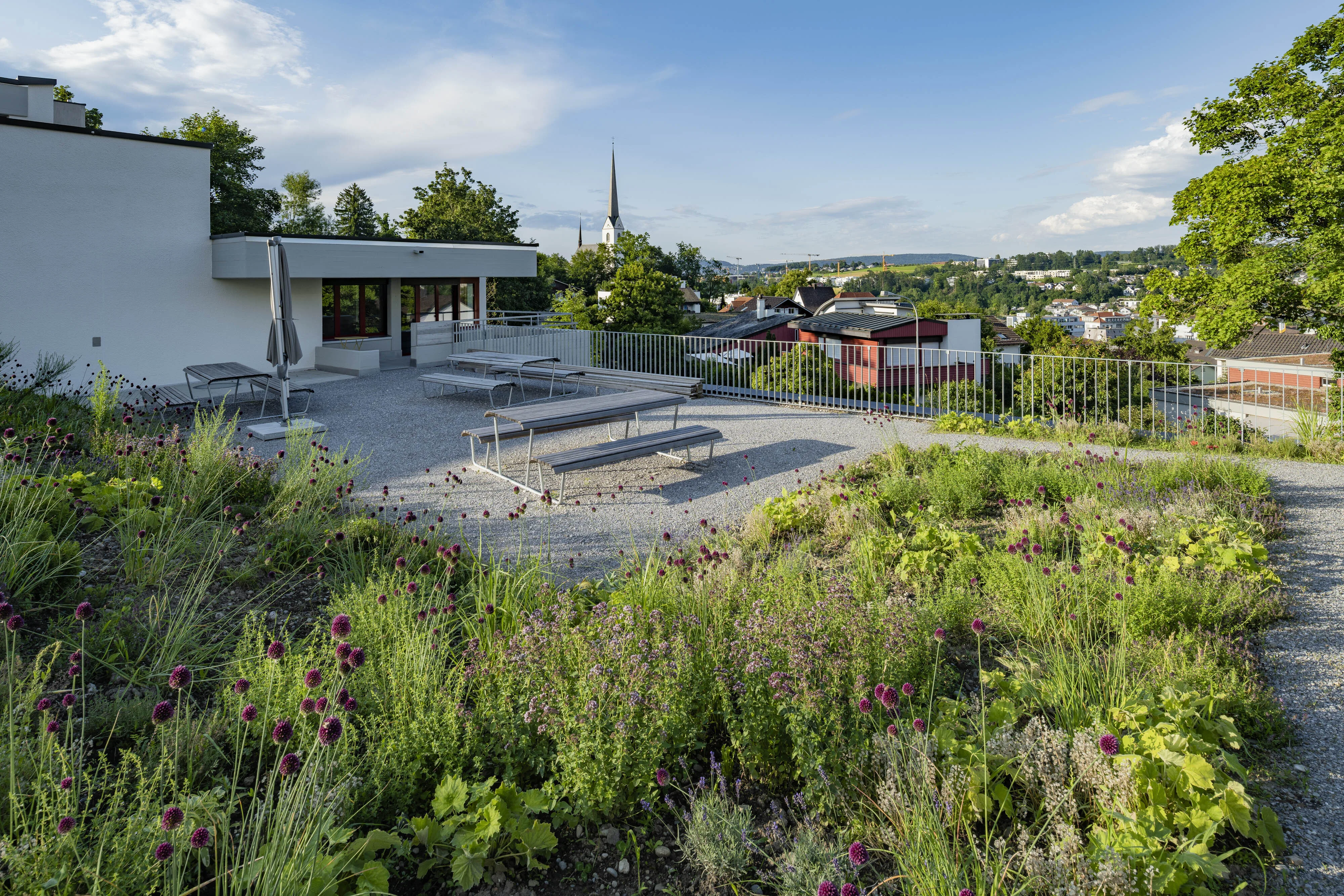 0736 sonnenberg 20210710 2699