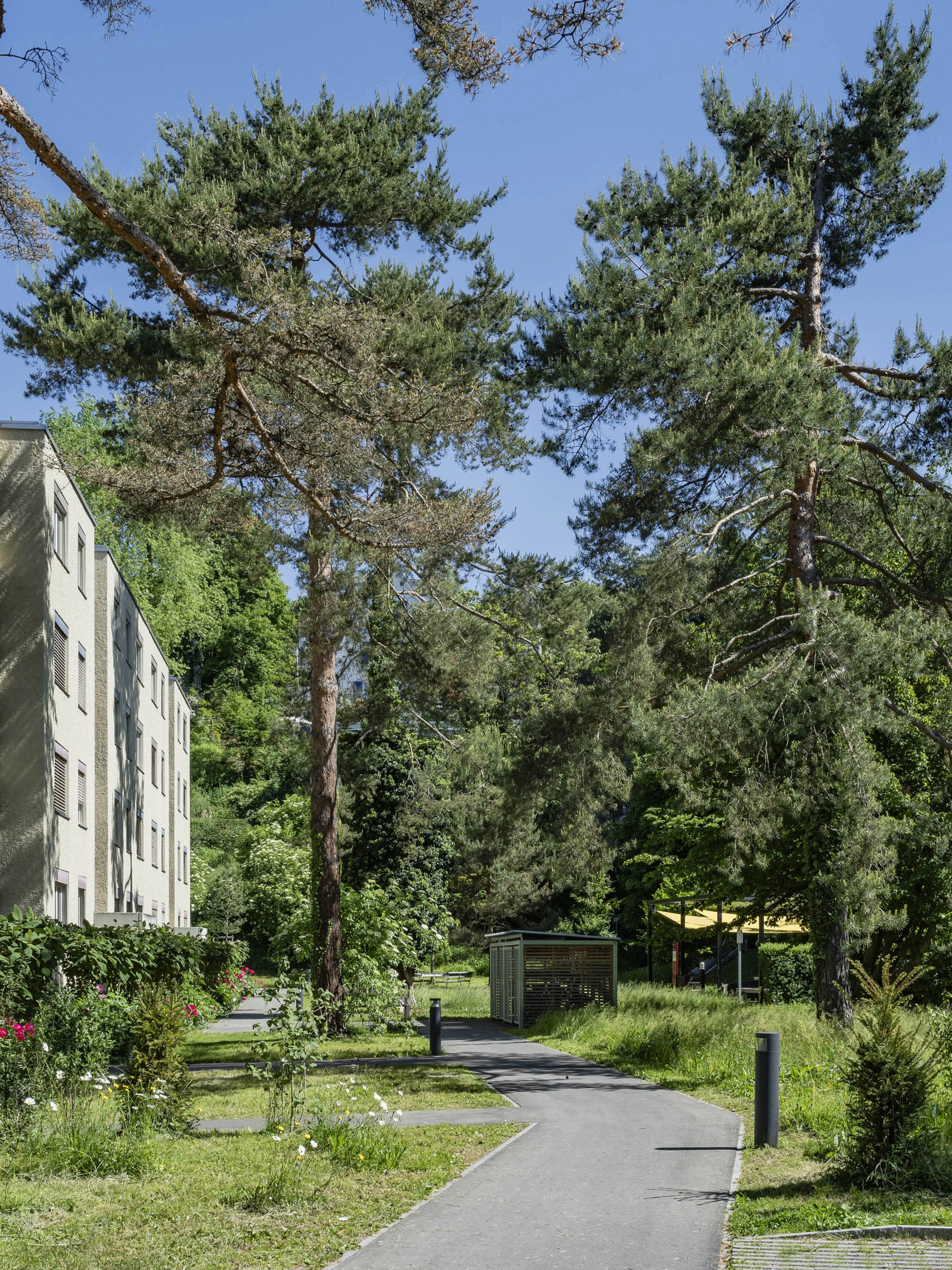 0889 20250516 3263 XXX