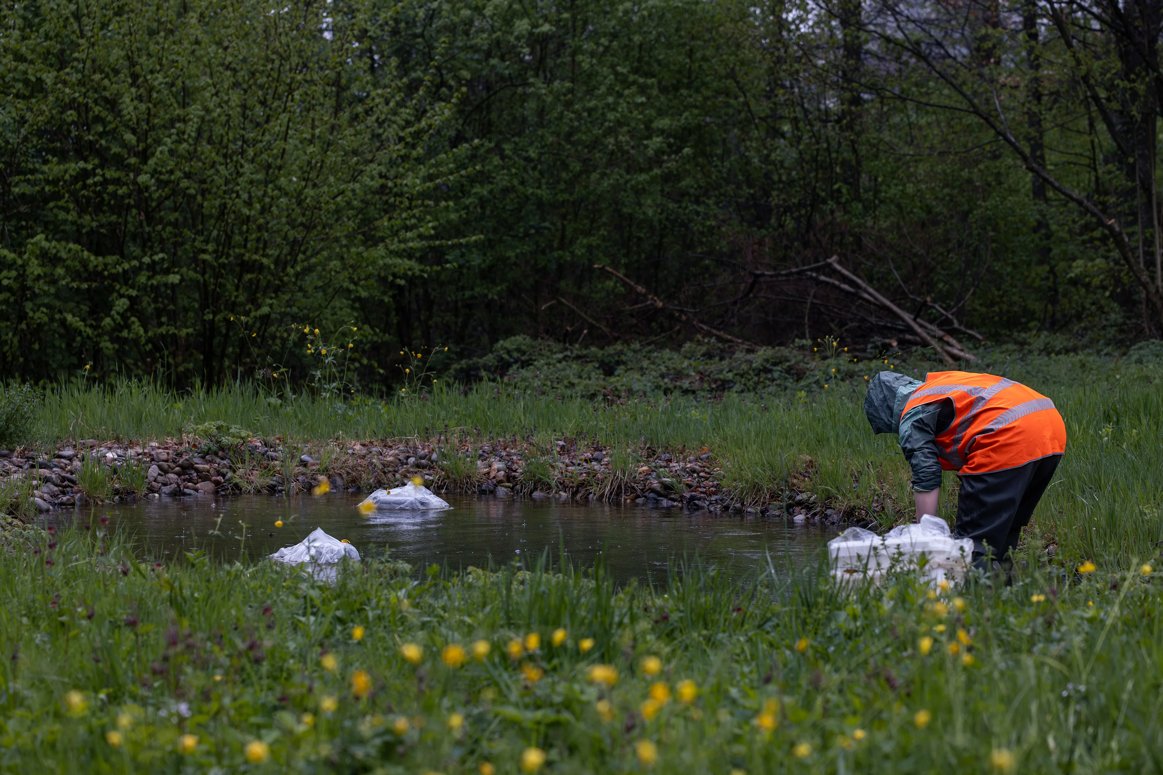 0913 01 A6357 Verbessert NR