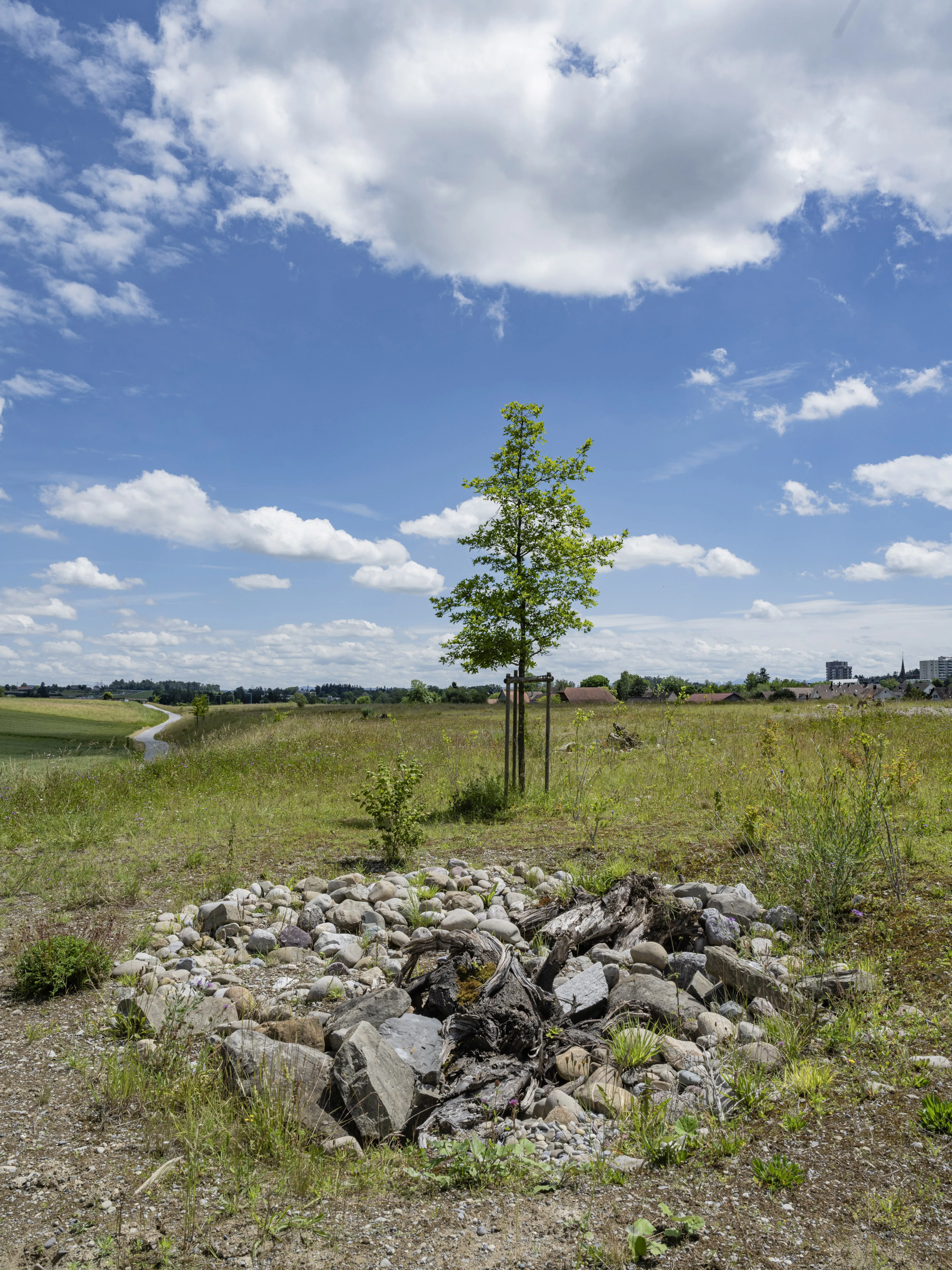 0914 katzensee 20240616 0684 XXX