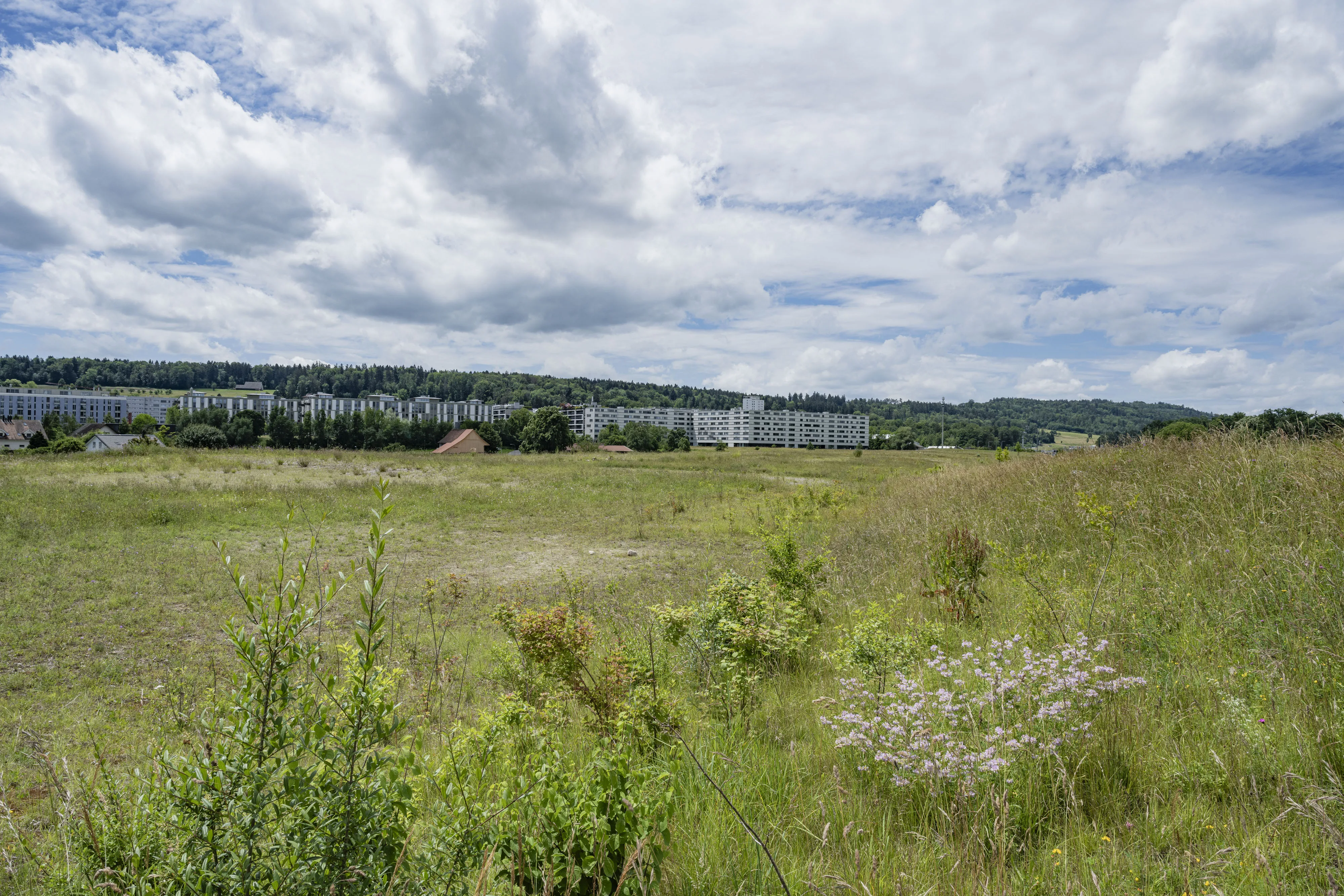 0914 katzensee 20240616 0695