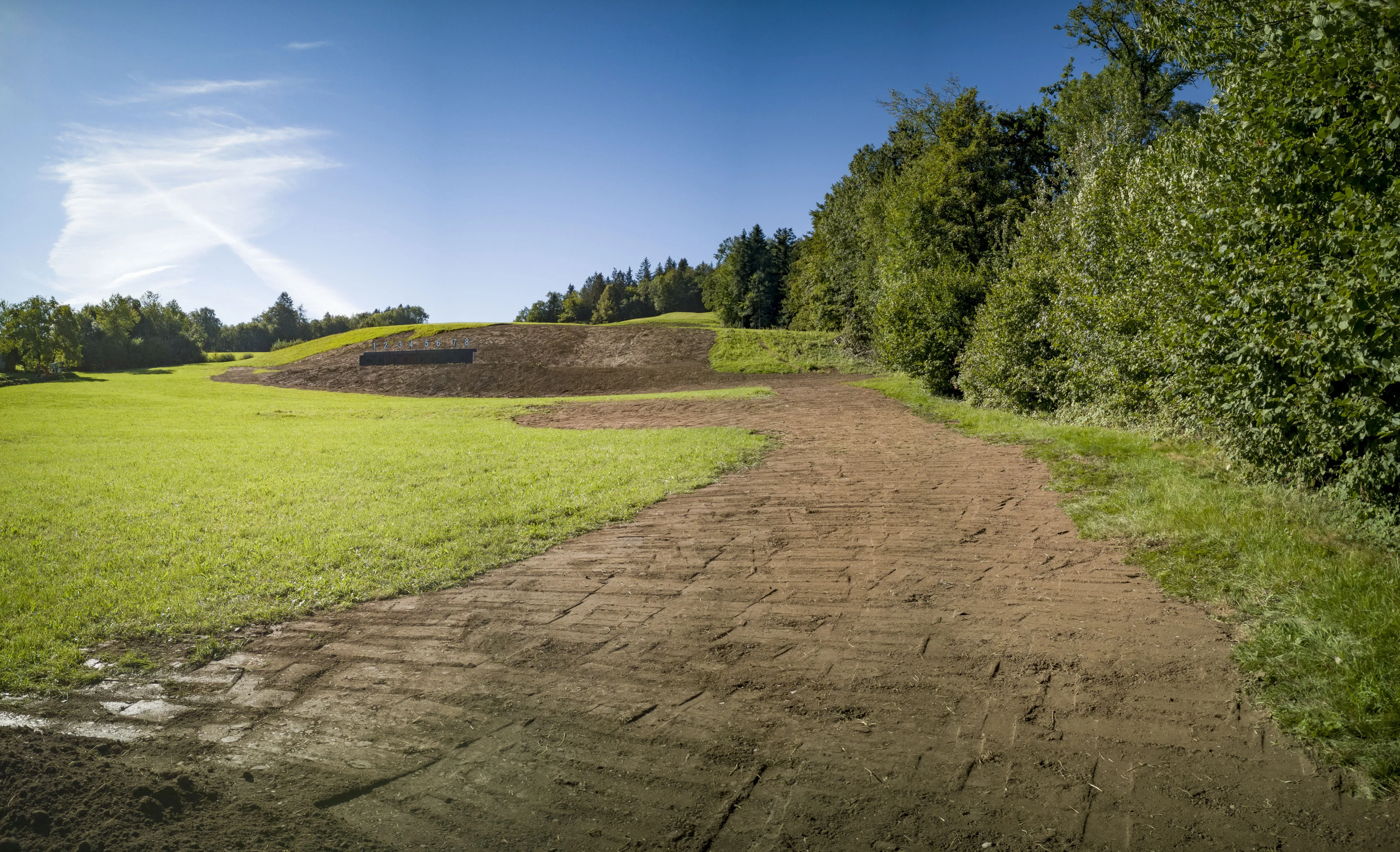 0979 neuholz 20200819 7