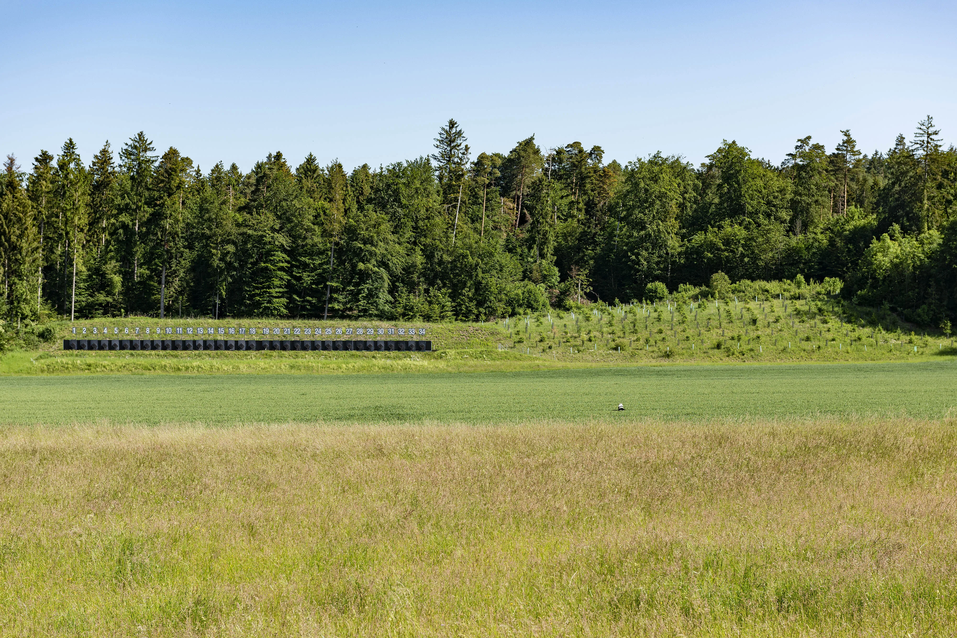 0603 muehleholz 20200520 1