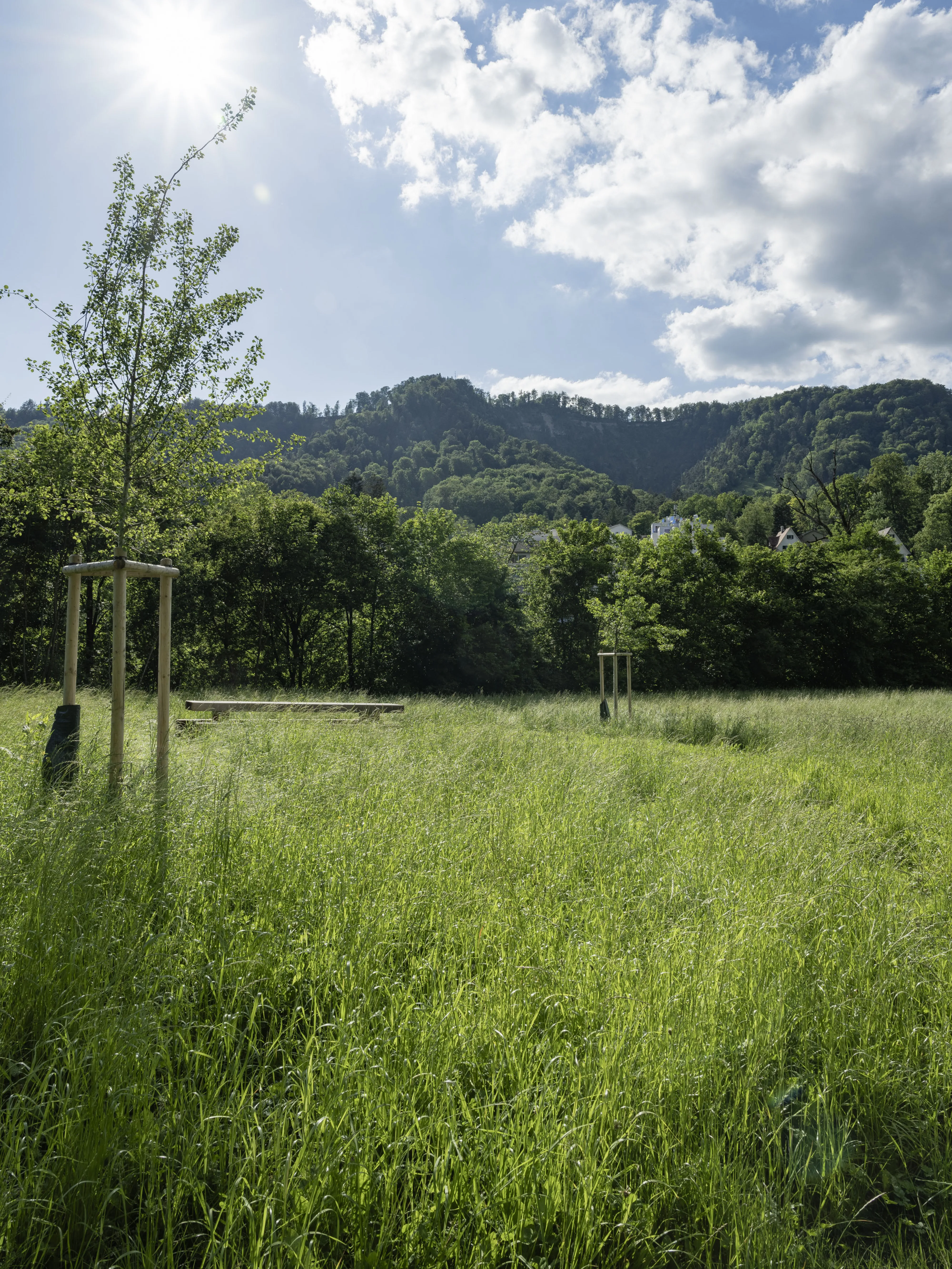 1282 20240610 0326 XXX