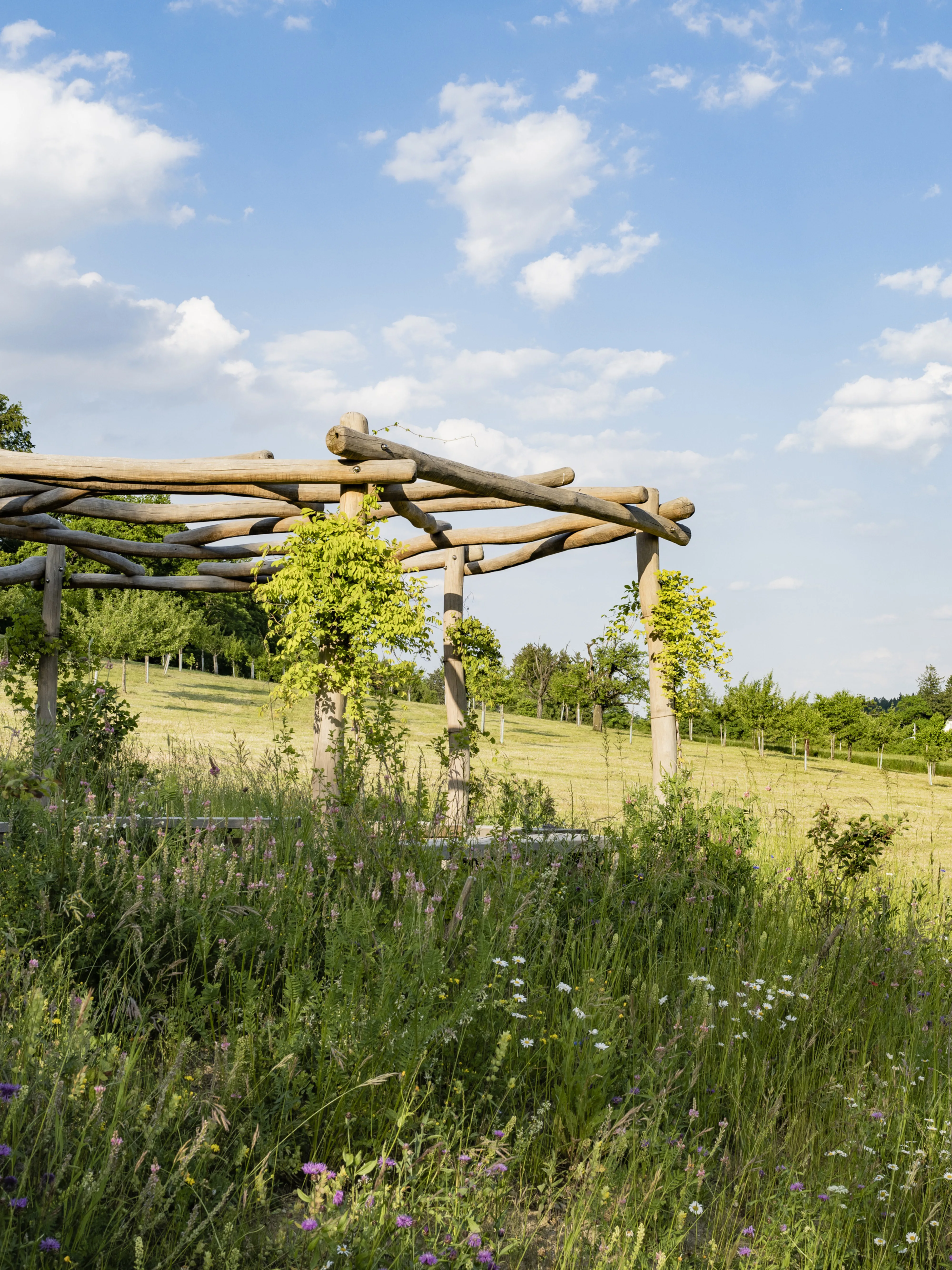 1116 20230603 7331 XXX