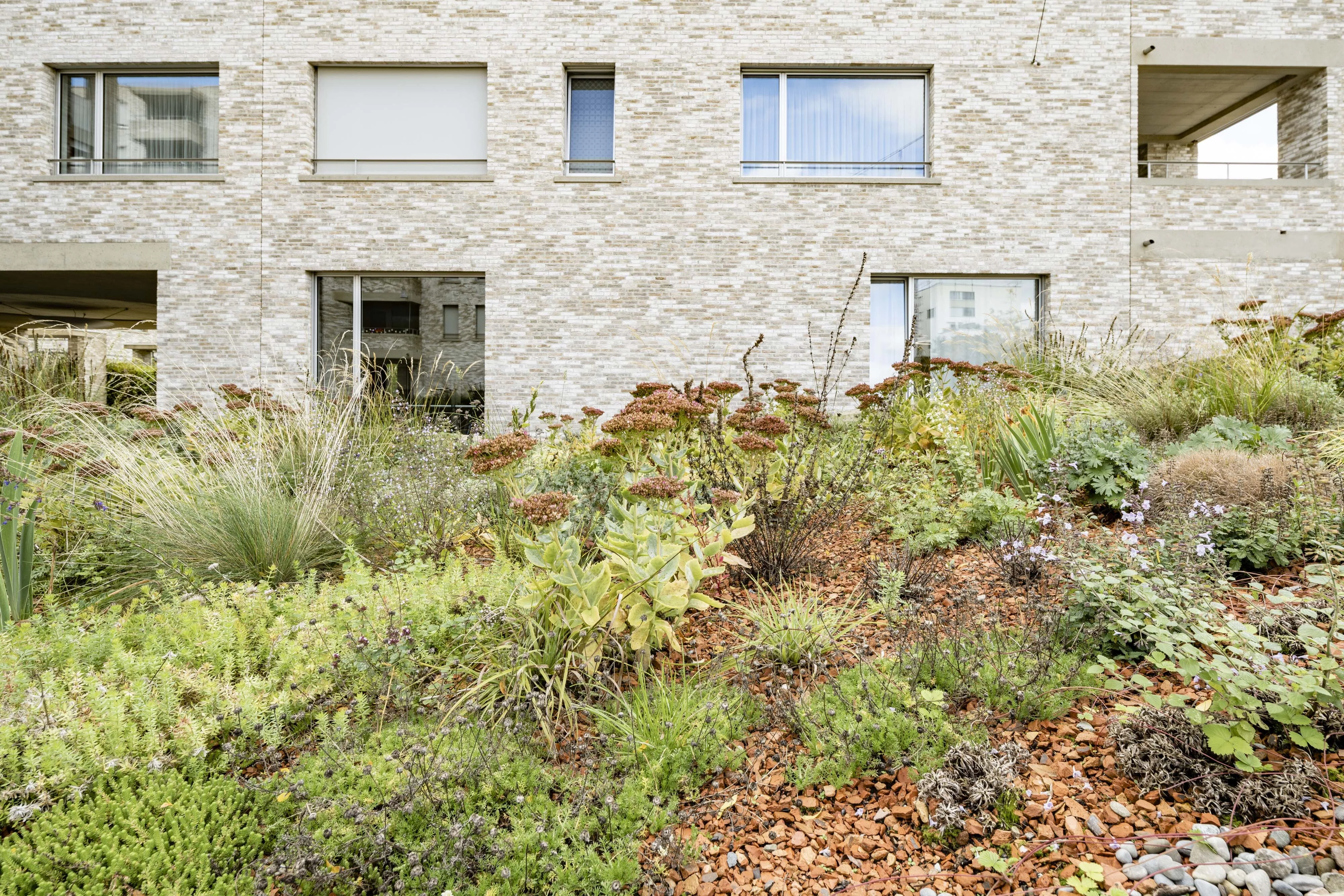 1132 14 20221003 4464