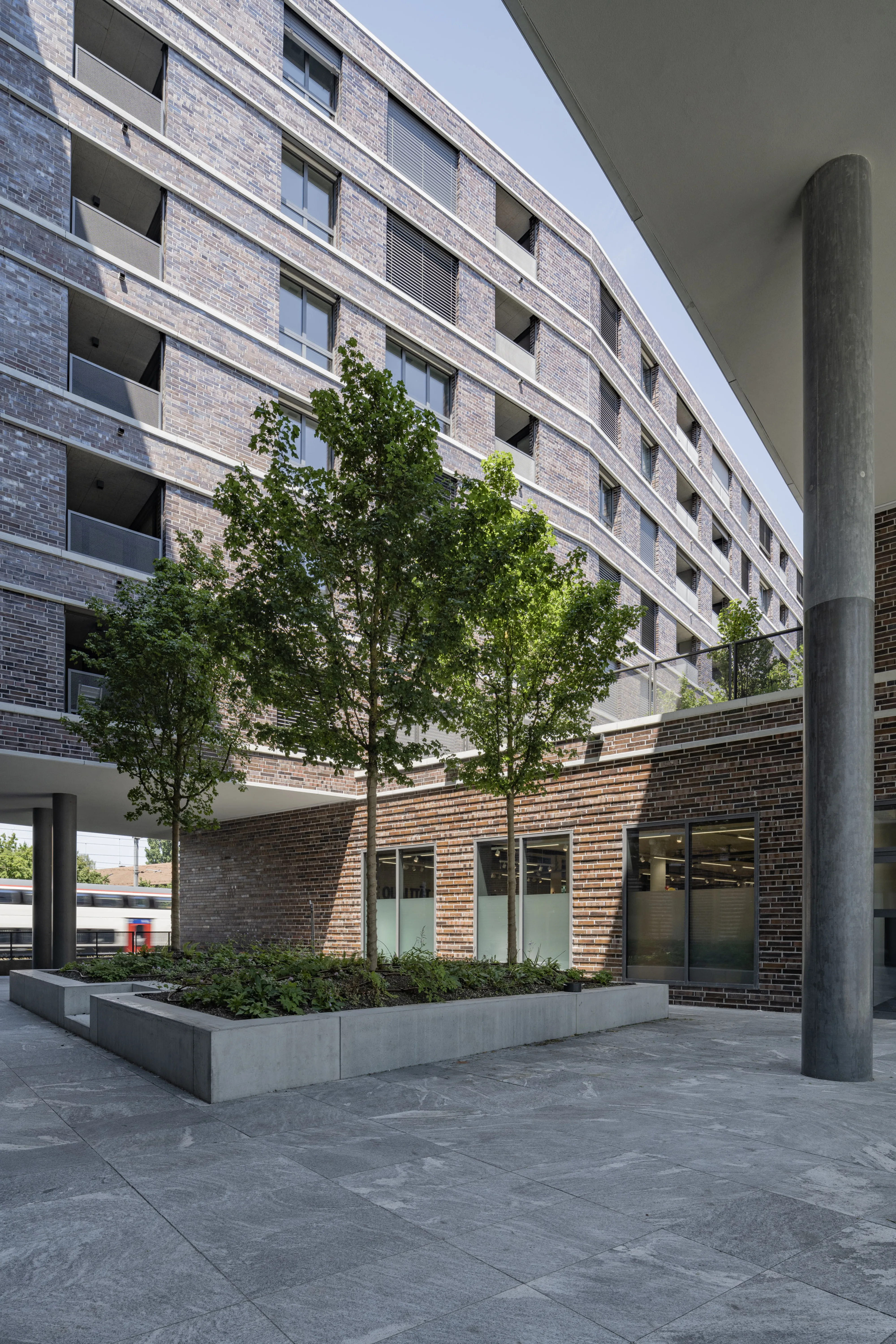 1143 20230613 10 7477