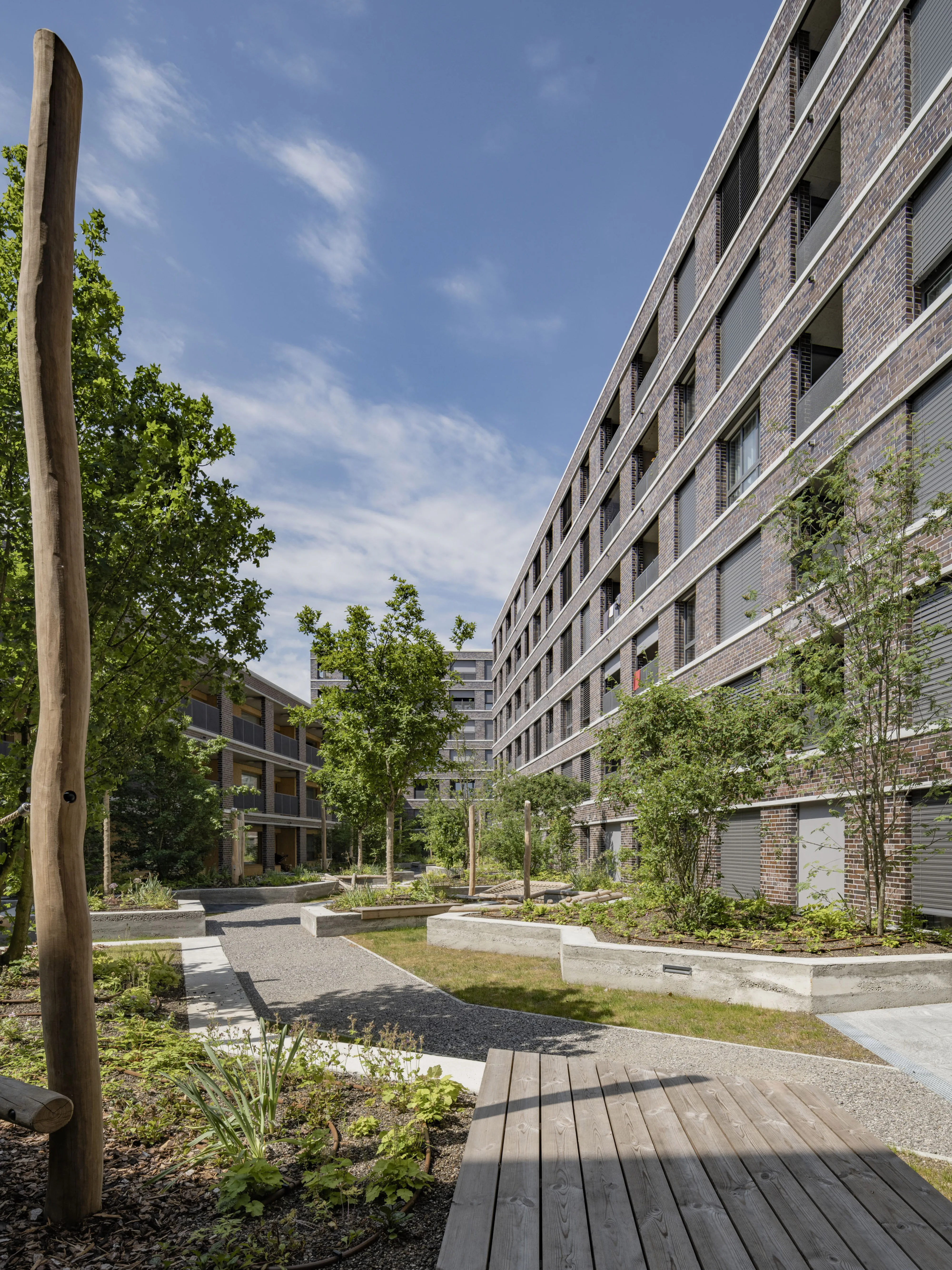 1143 20230613 01 7394 XXX