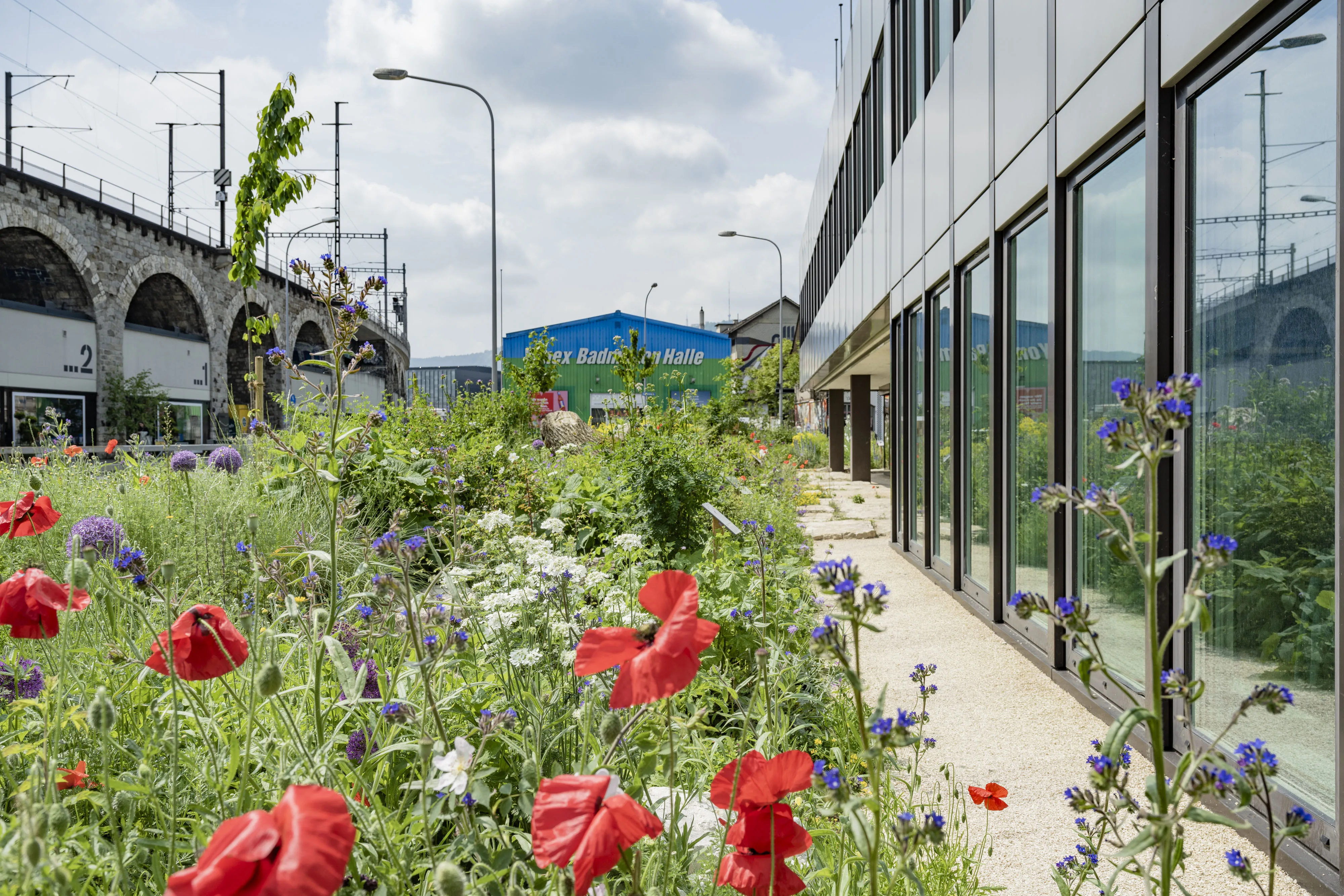 1192 hard 20230523 6845