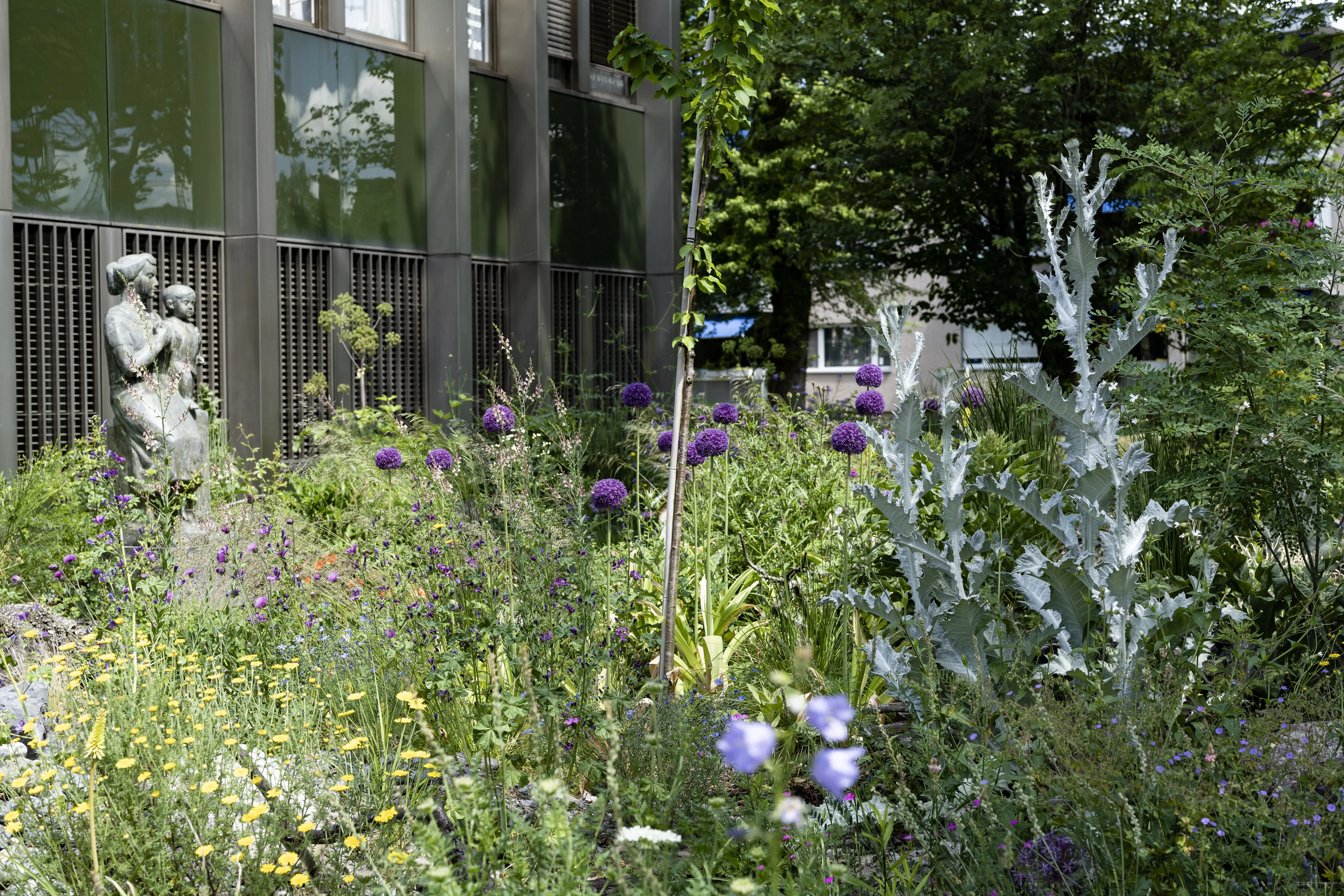 1192 regensdorf 20220527 3455