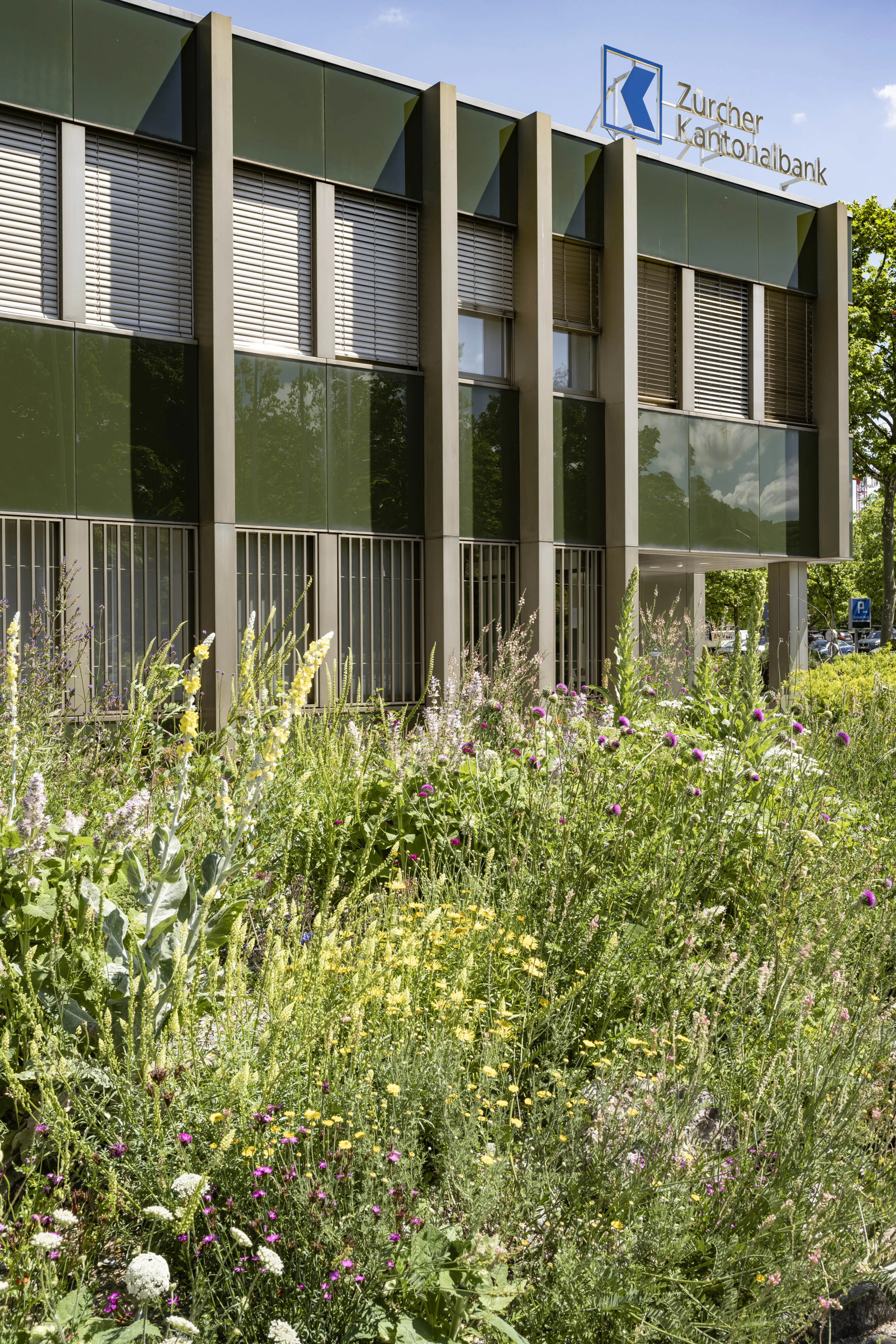 1192 regensdorf 20220527 3462