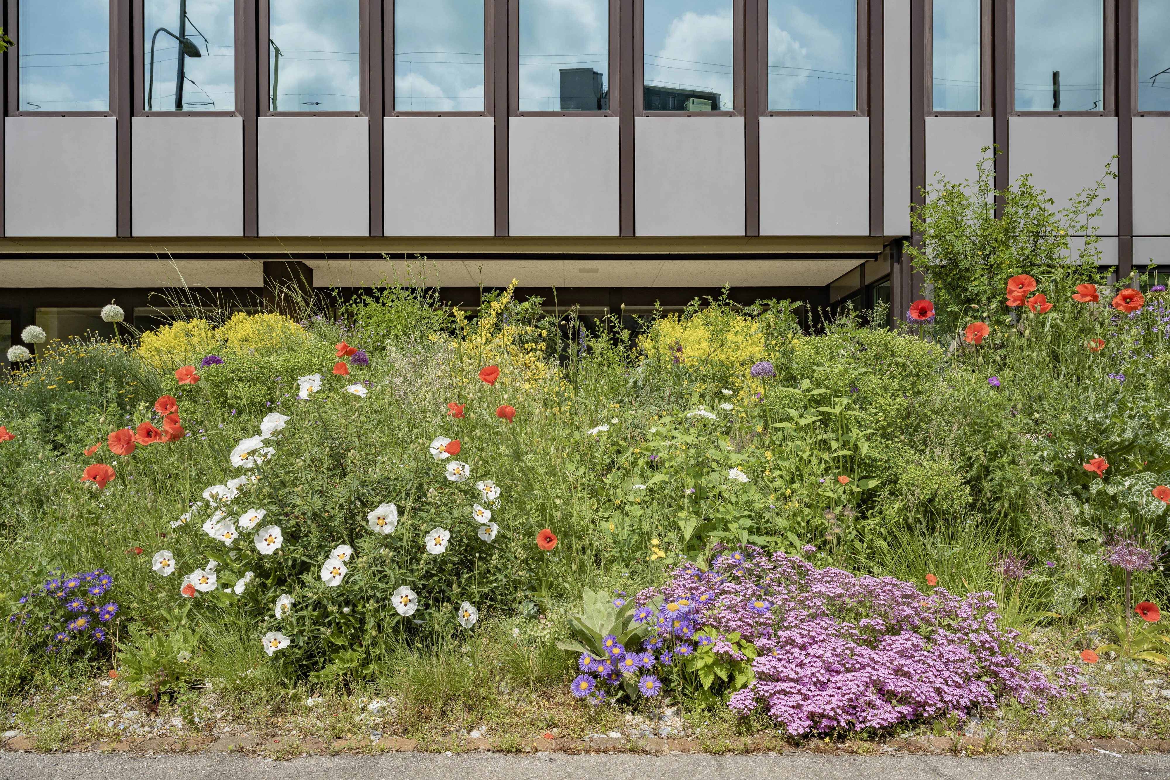 1192 hard 20230523 6855