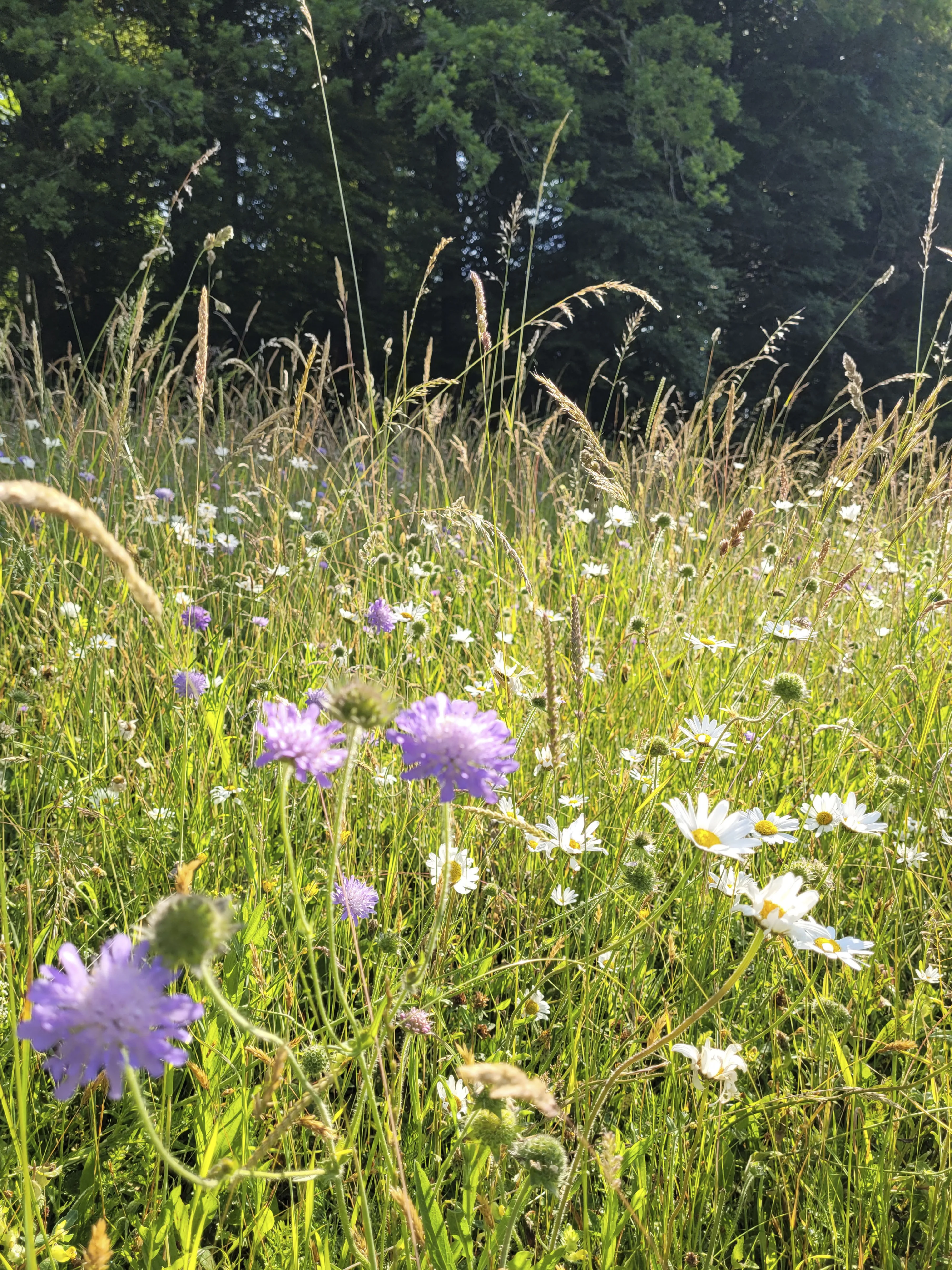 1220 20230607 094159 XXX