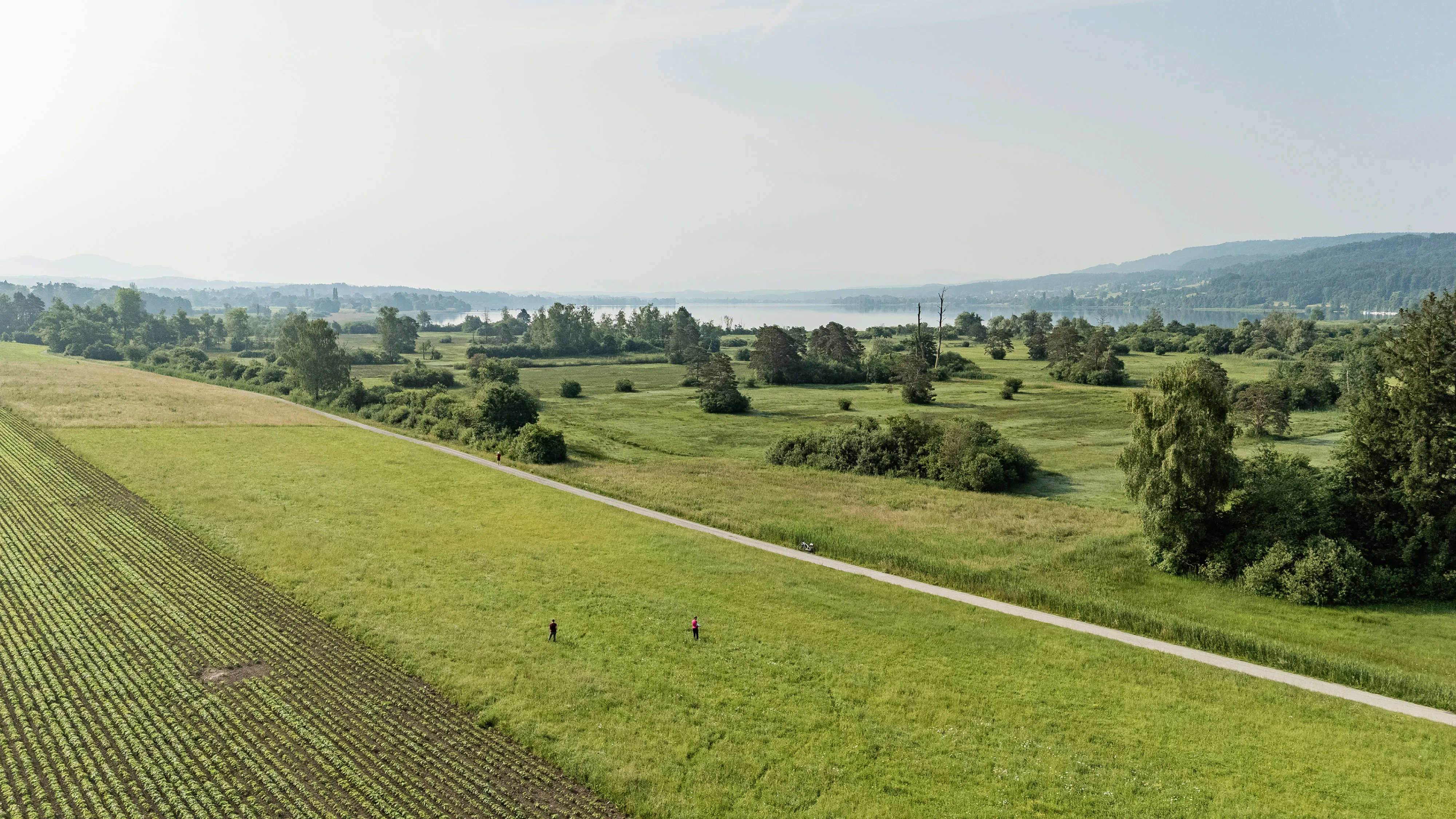 1220 20250610 DJI 20250610084605 0012 D