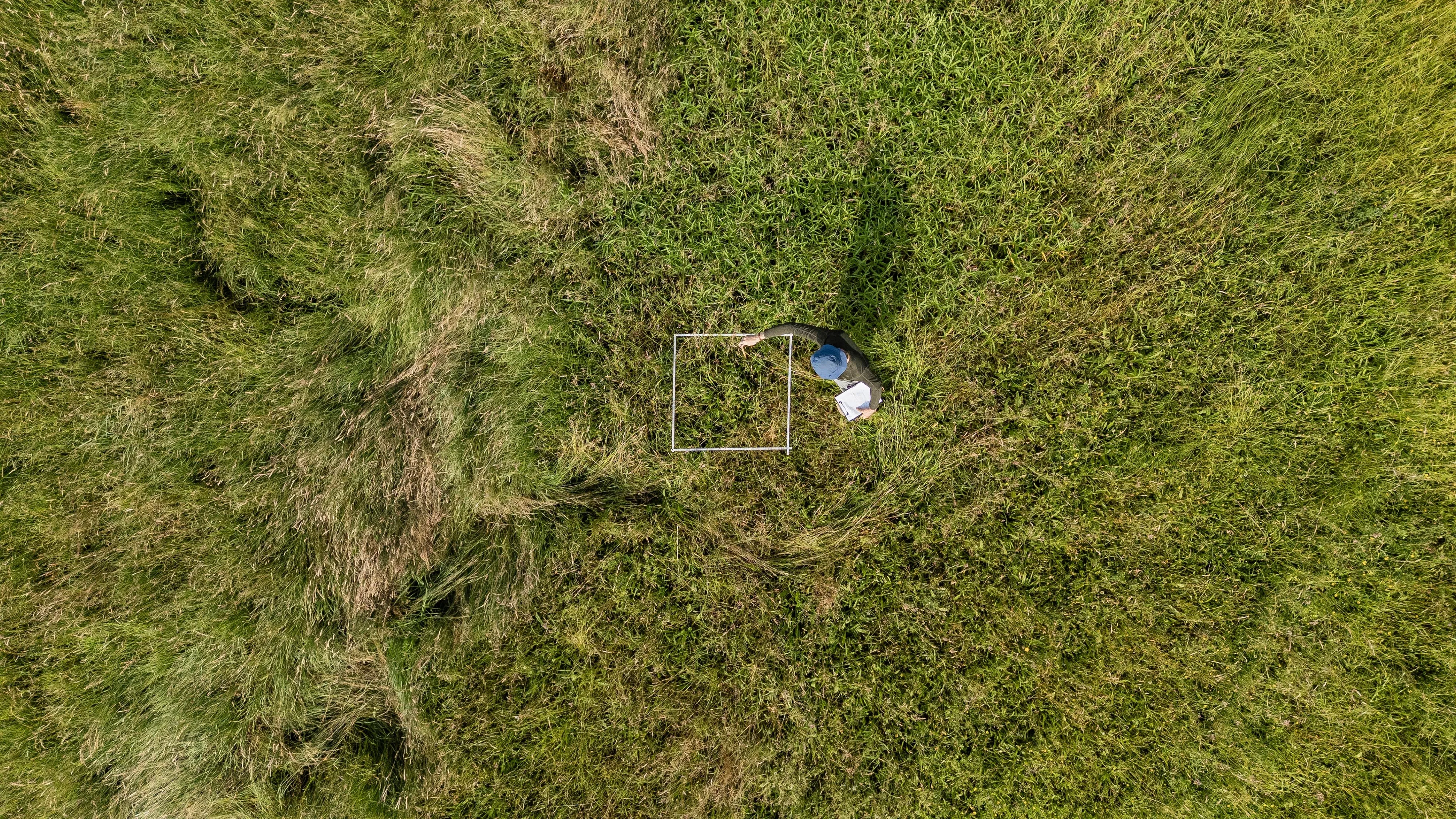 1220 20250610 DJI 20250610092505 0031 D