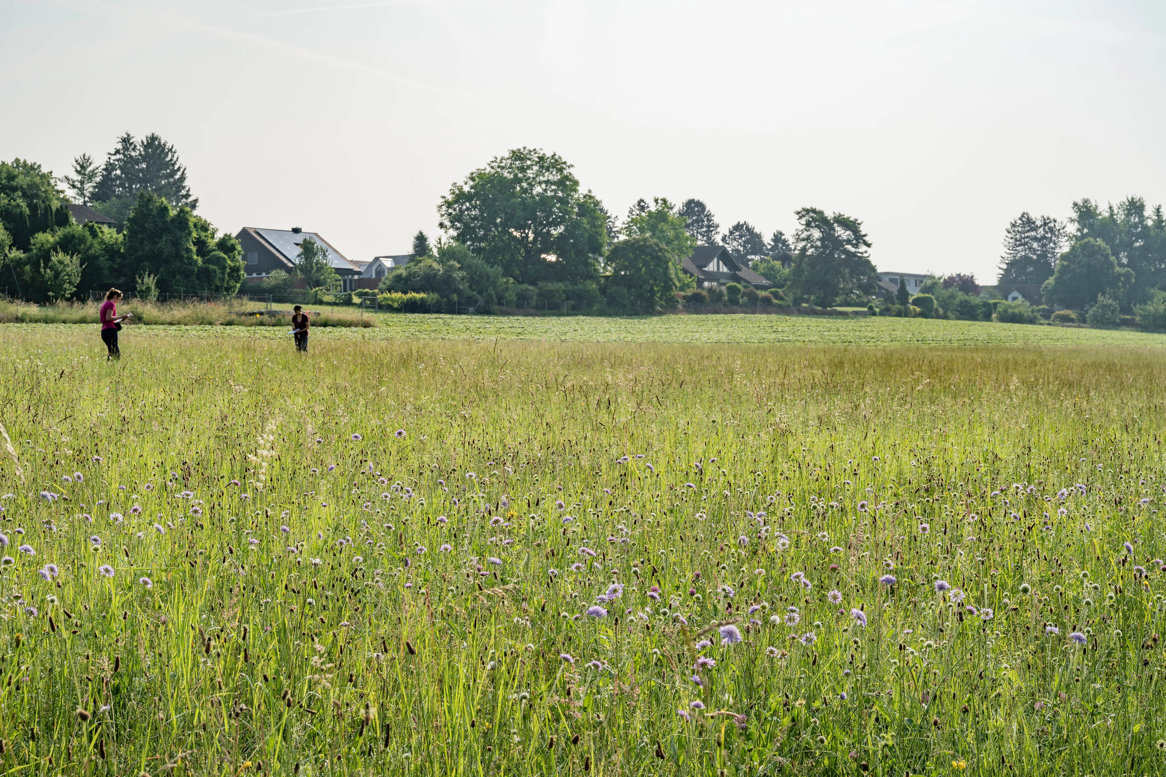 1220 20250610 DSC3490