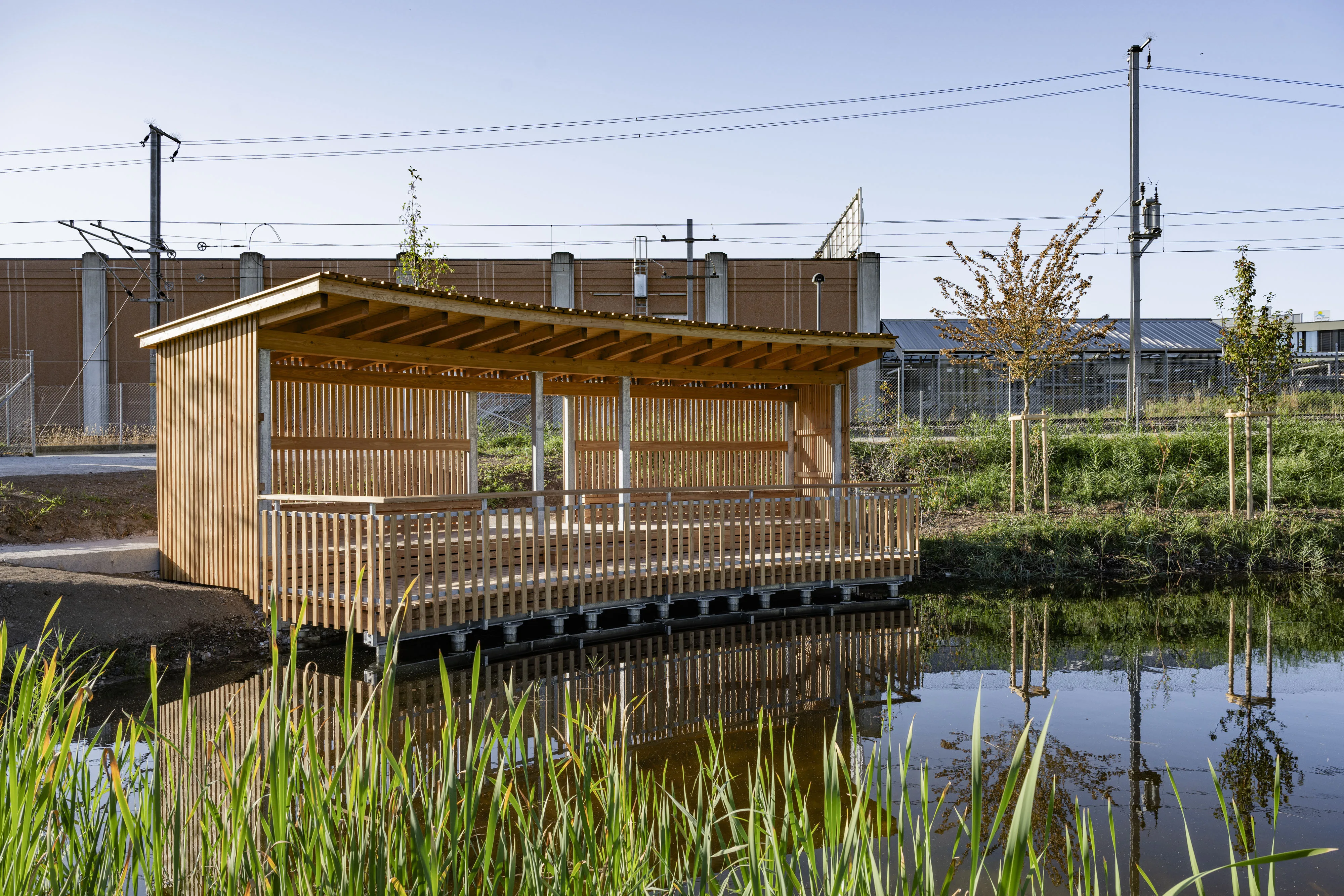 Das Bild zeigt eine moderne, hölzerne Plattform mit einem überdachten Sitzbereich, die am Rand eines kleinen Teichs errichtet wurde. Das Gebäude ist aus Holzlatten konstruiert und bietet durch seine offene Bauweise einen luftigen, schattigen Platz zum Verweilen. Der Teich im Vordergrund spiegelt die Struktur und die umgebende Vegetation wider. Im Hintergrund sind Zäune, und Gebäude zu sehen. Die Szenerie kombiniert natürliche und gebaute Elemente in einem funktionalen und ästhetischen Design.