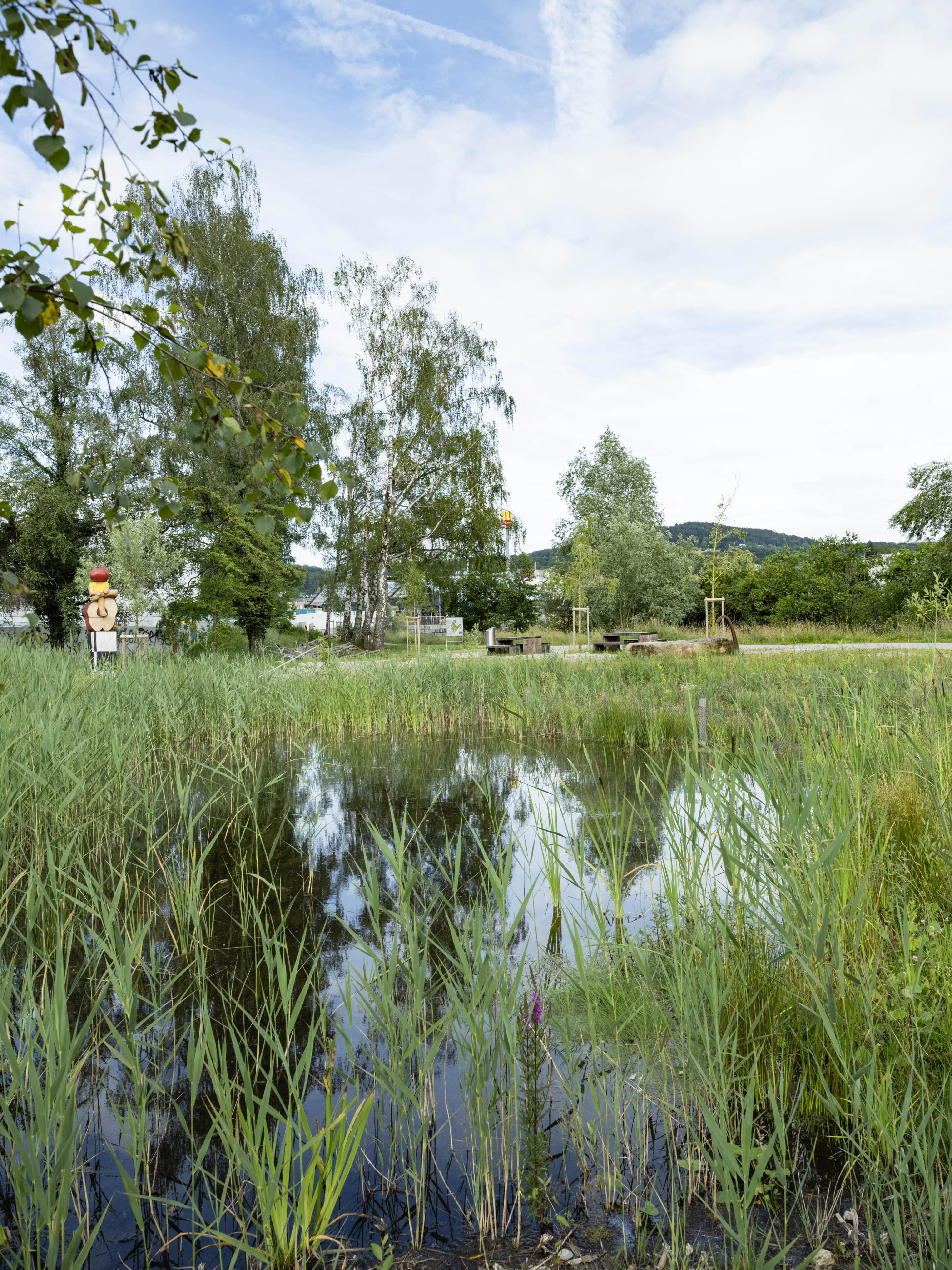 Das Bild zeigt eine naturnahe Wasserfläche, umgeben von dichten Schilfpflanzen und hohen Bäumen. Im Hintergrund sind eine Wiese und eine hügelige Landschaft zu sehen. Der Himmel ist leicht bewölkt, und das Wasser spiegelt die umgebende Vegetation wider.