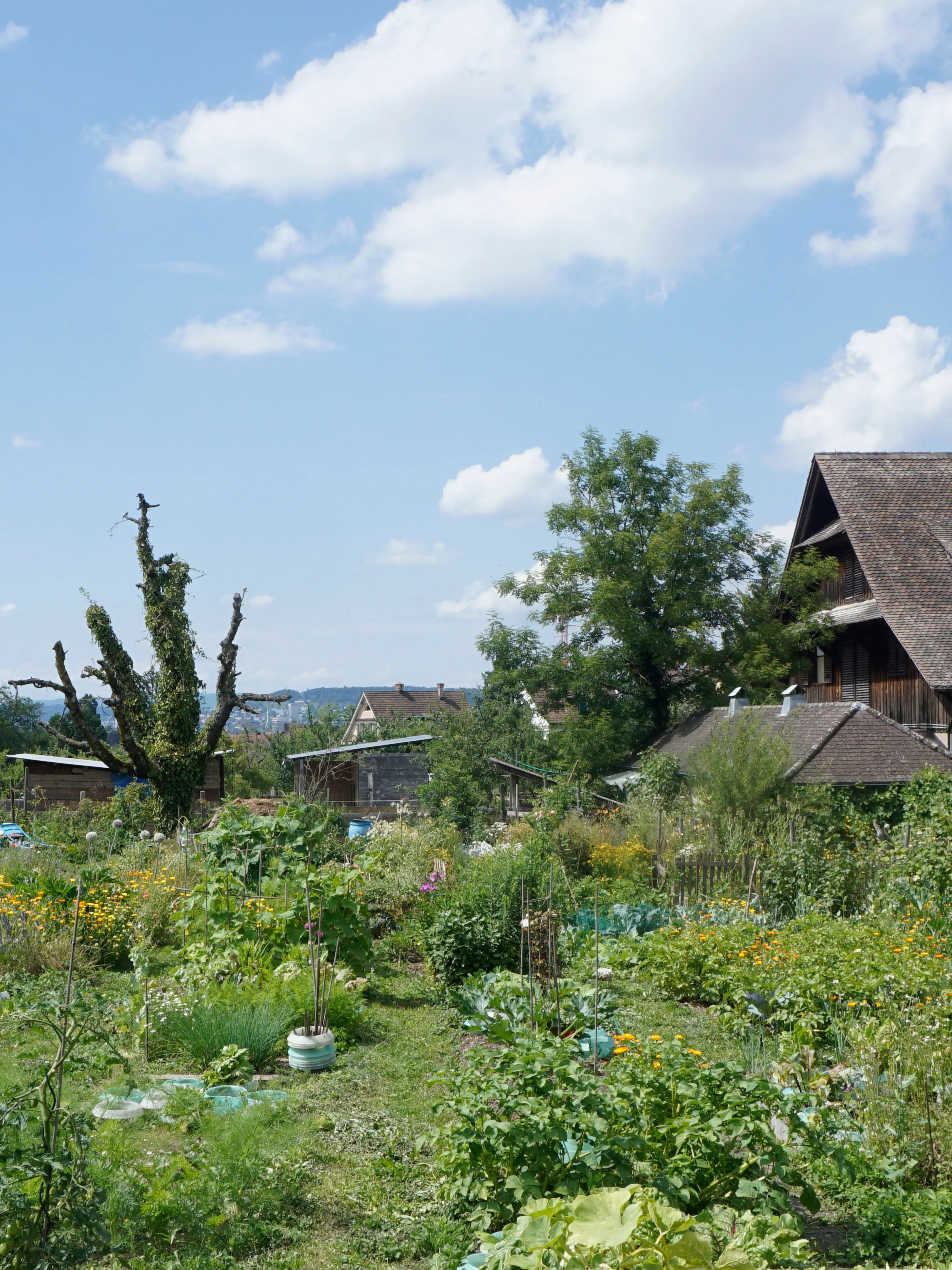 1407 Quartierhof Wynegg 9260 hero