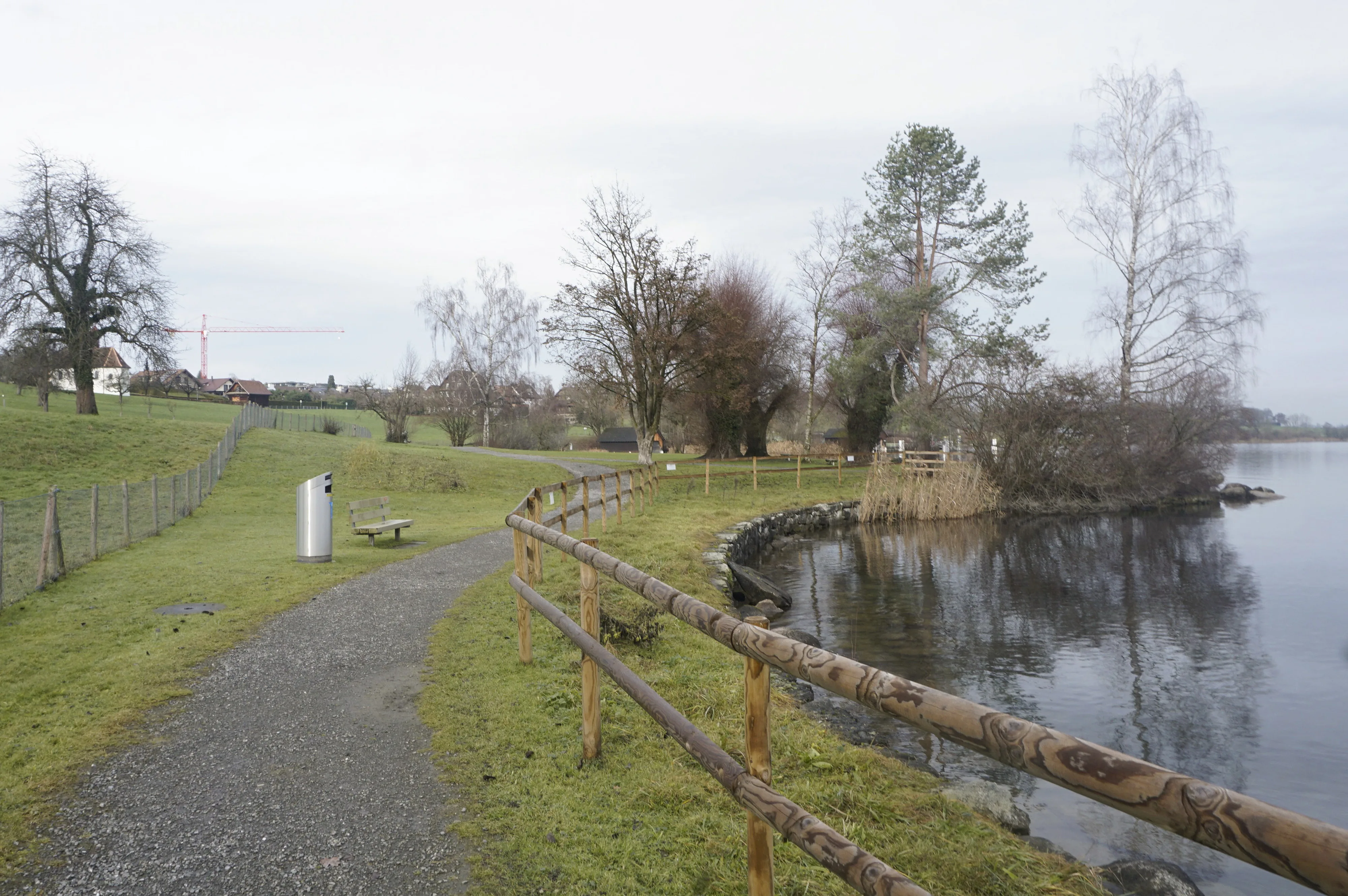 1466 Badi Buonas 0771