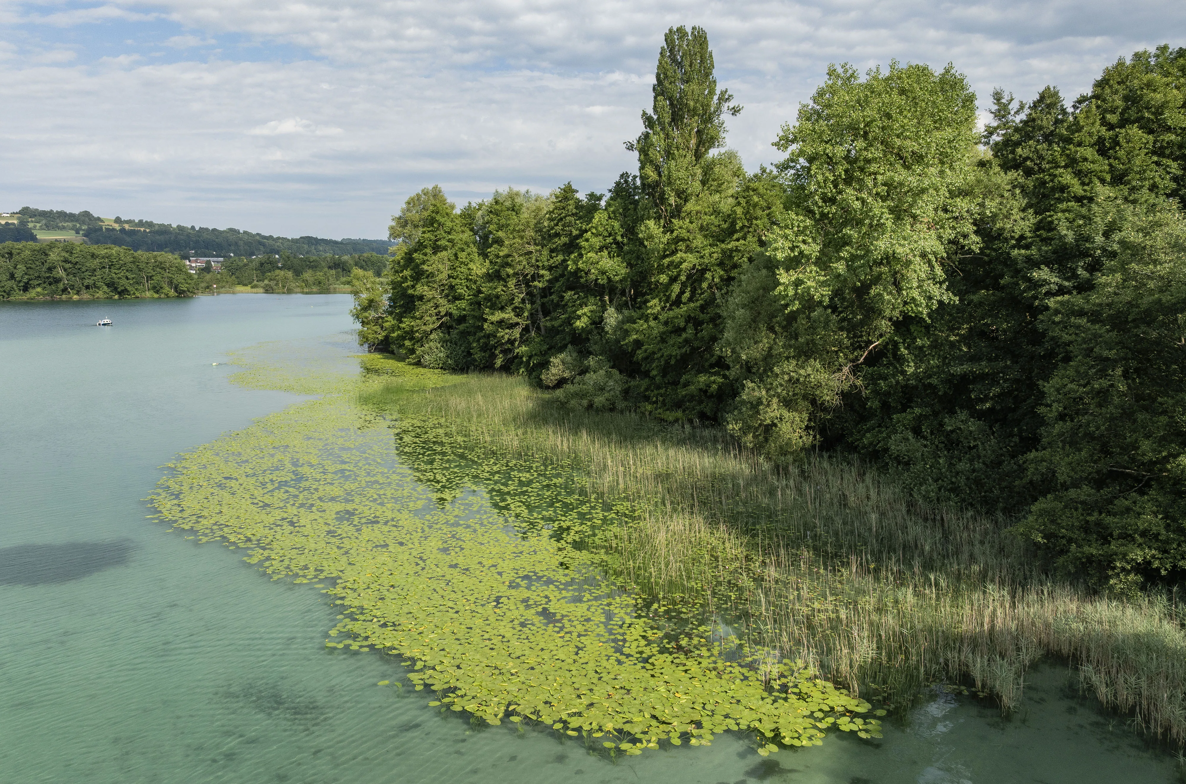 1593 20250703 DJI 0246