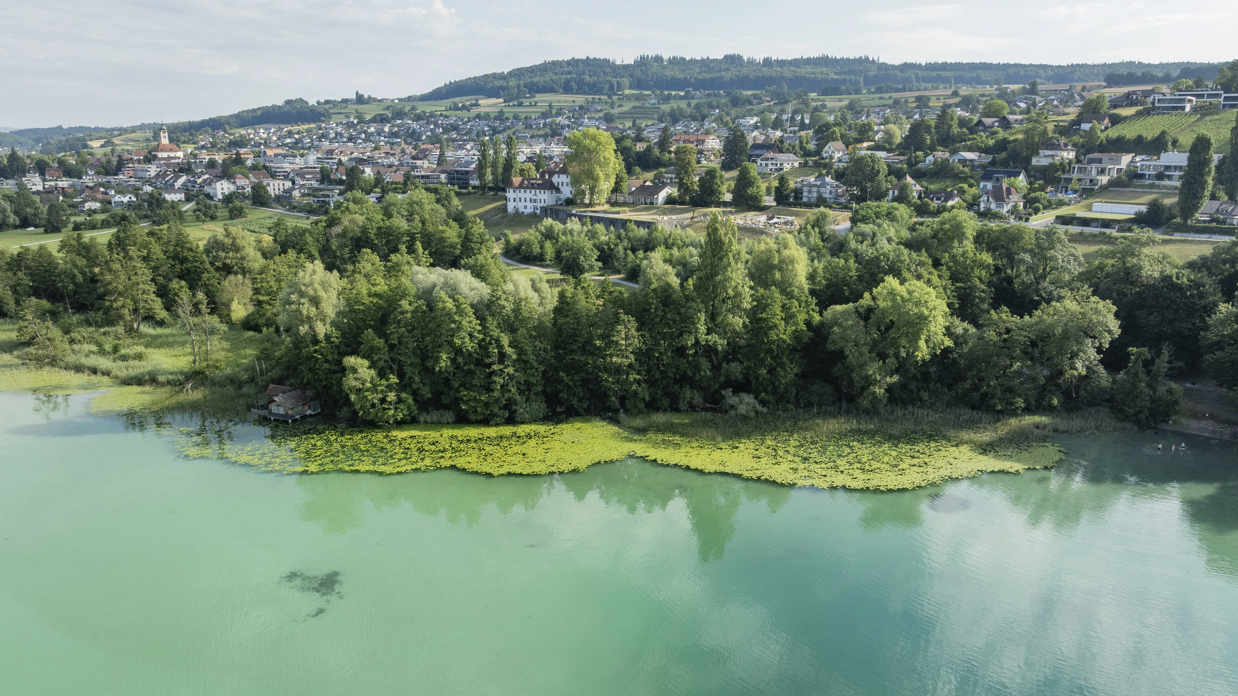 1593 20250703 DJI 0201