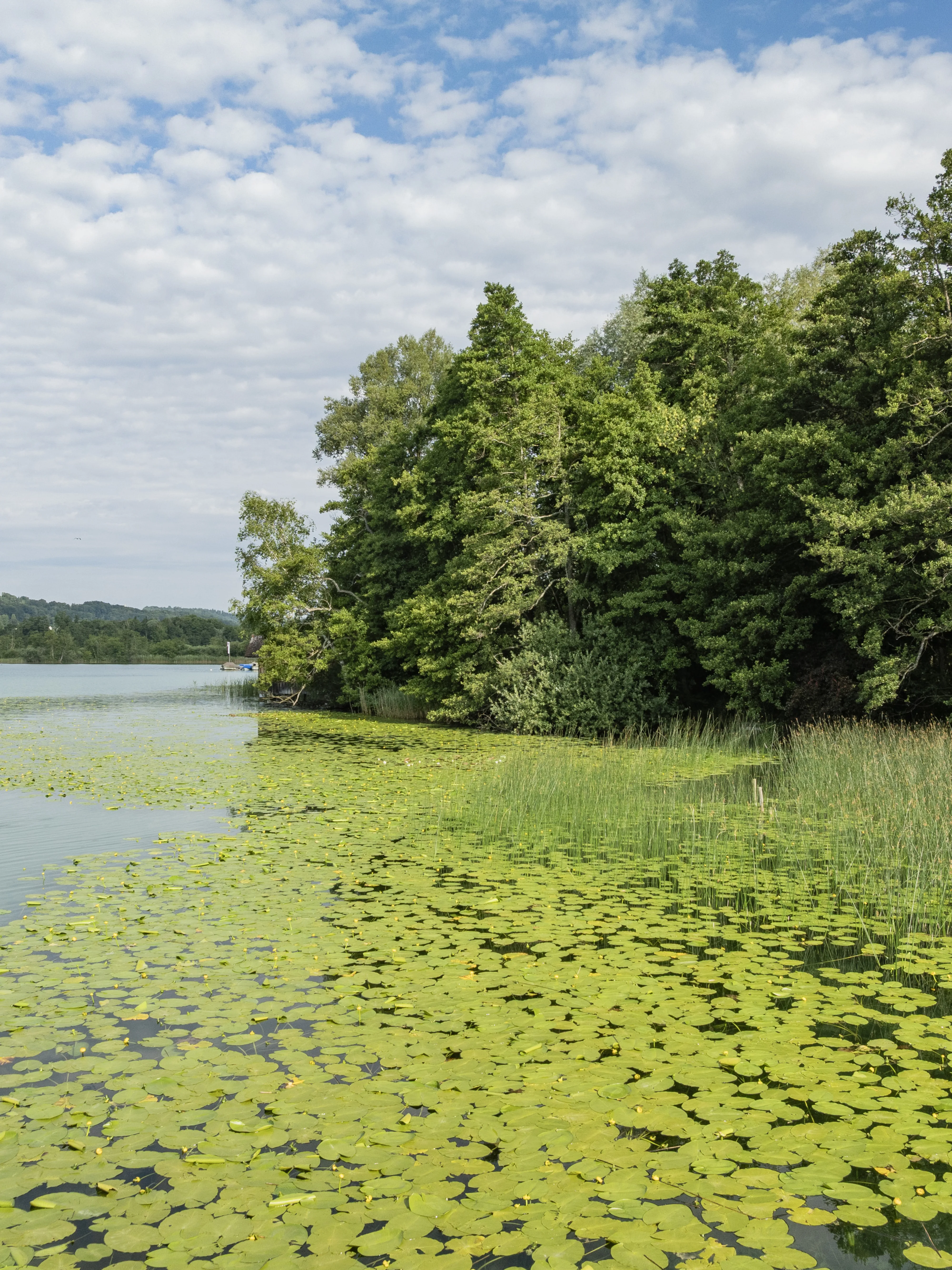 1593 20250703 DJI 0229 XXX