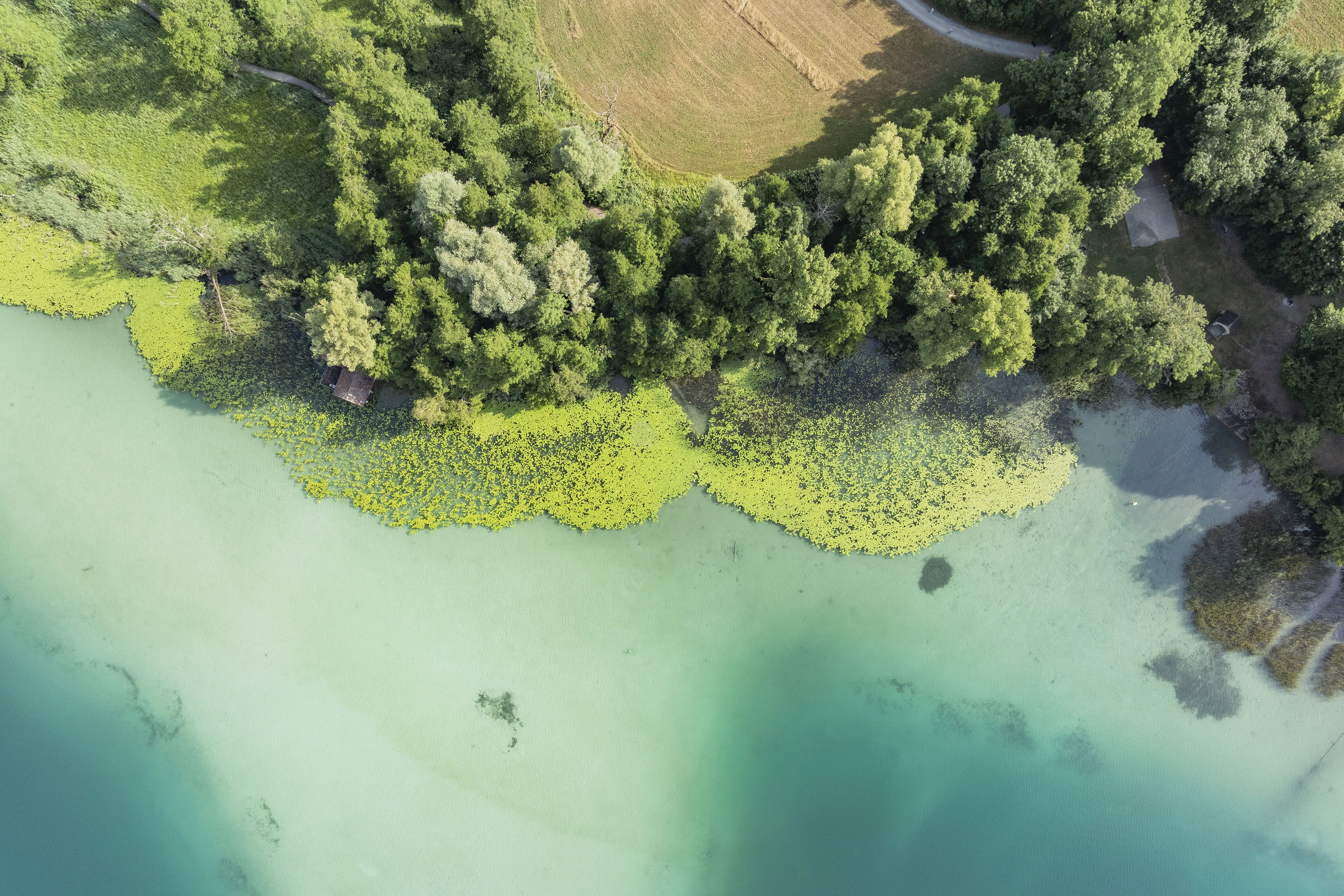 1593 20250703 DJI 0237